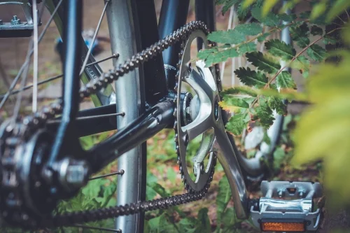 close up gear with leaf pexel.jpg