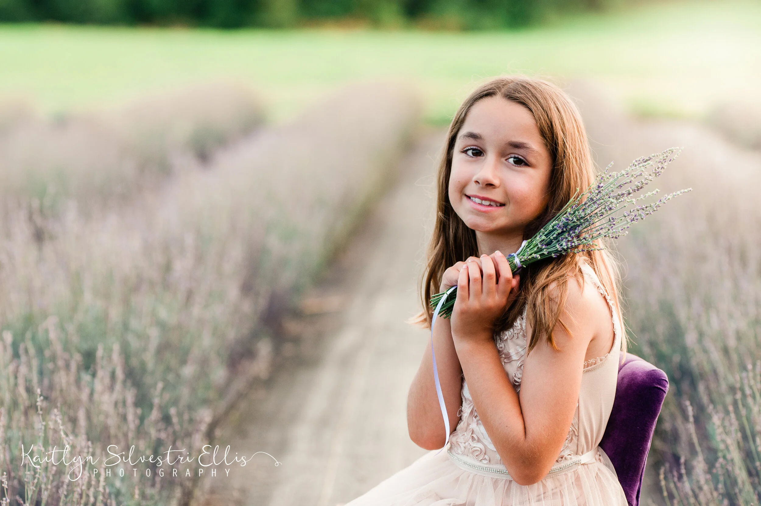 LavenderFieldweb-107.JPG
