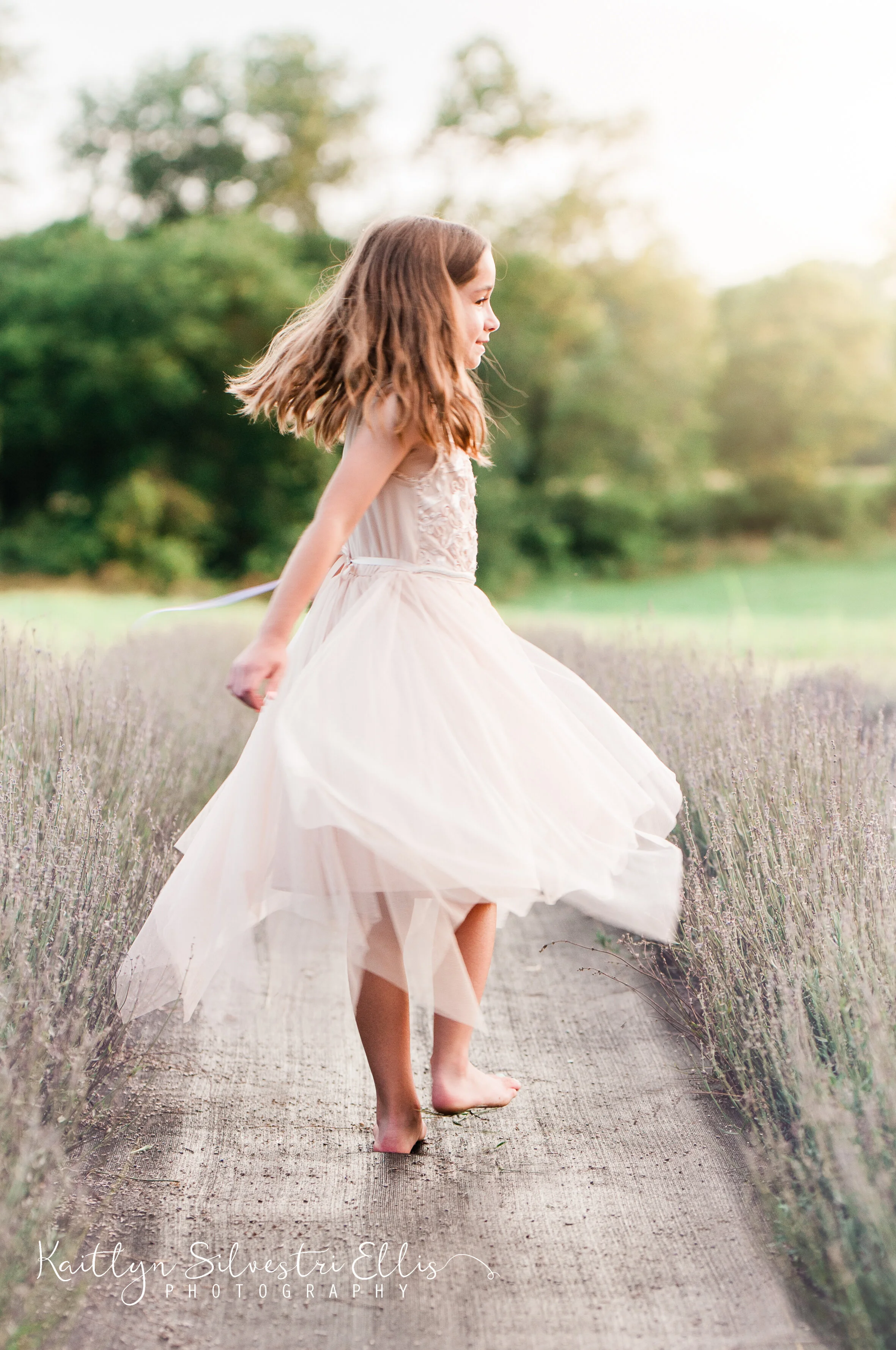 LavenderFieldweb-108.JPG