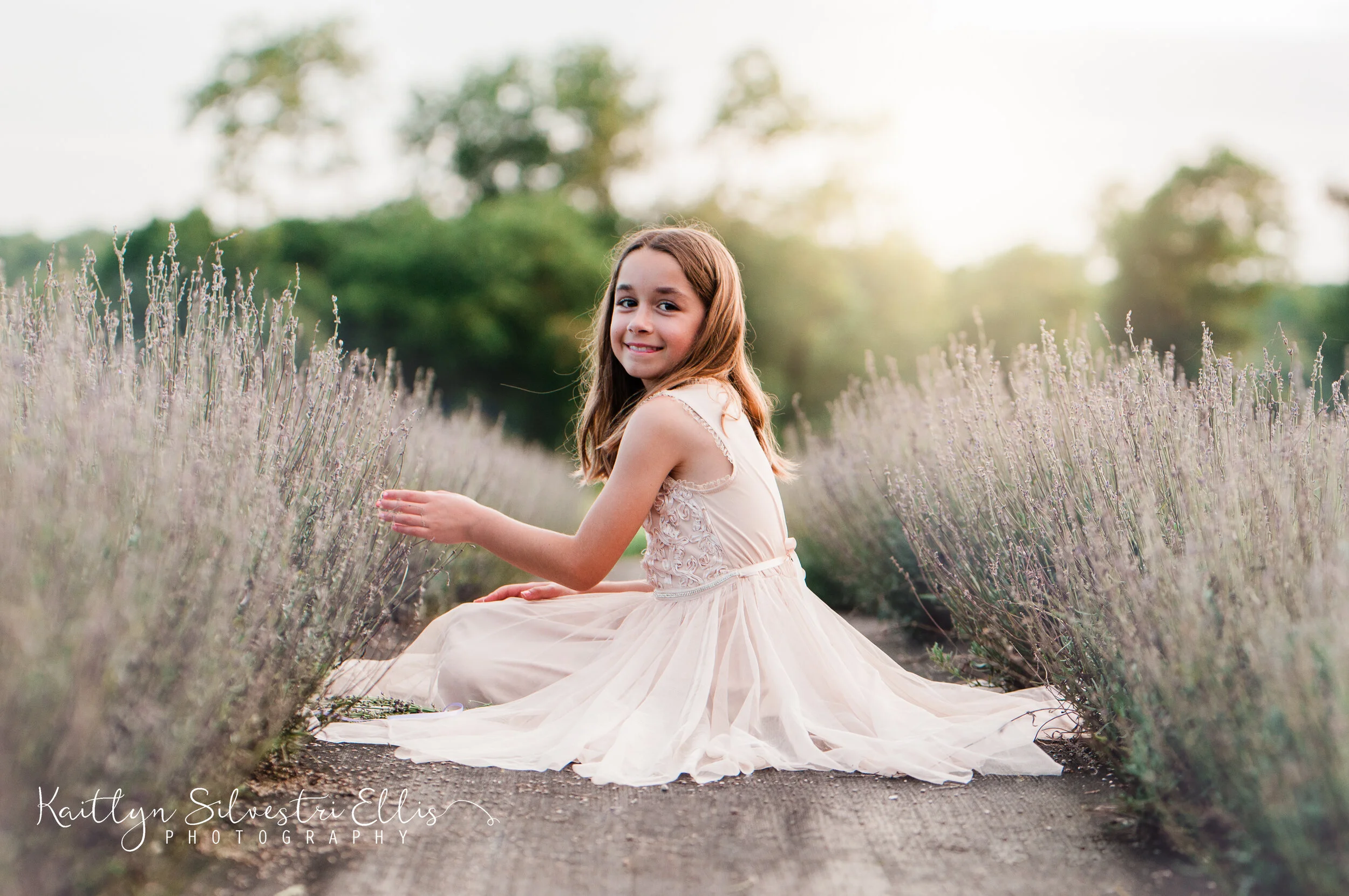 LavenderFieldweb-110.JPG