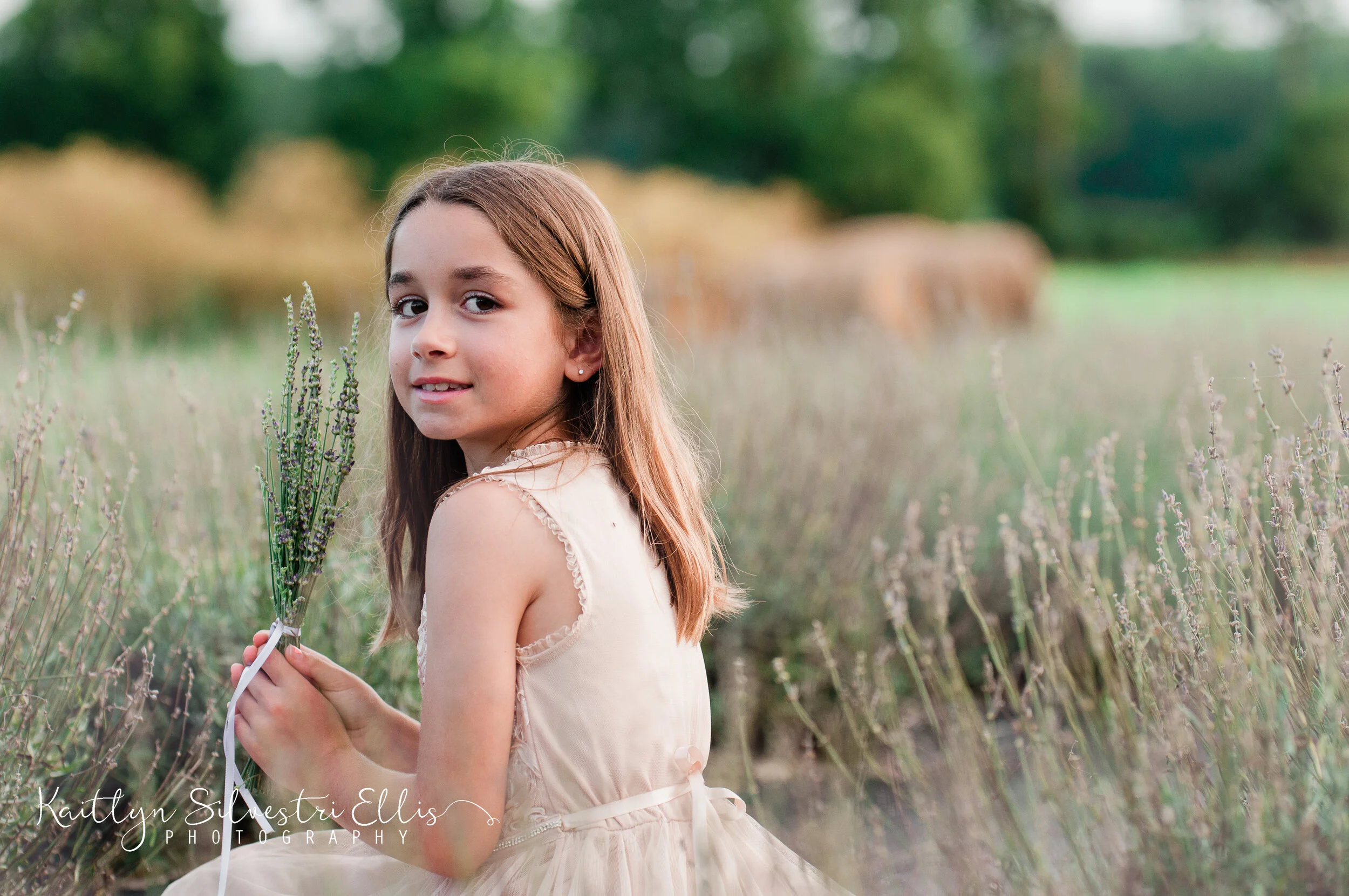 LavenderFieldweb-112.JPG