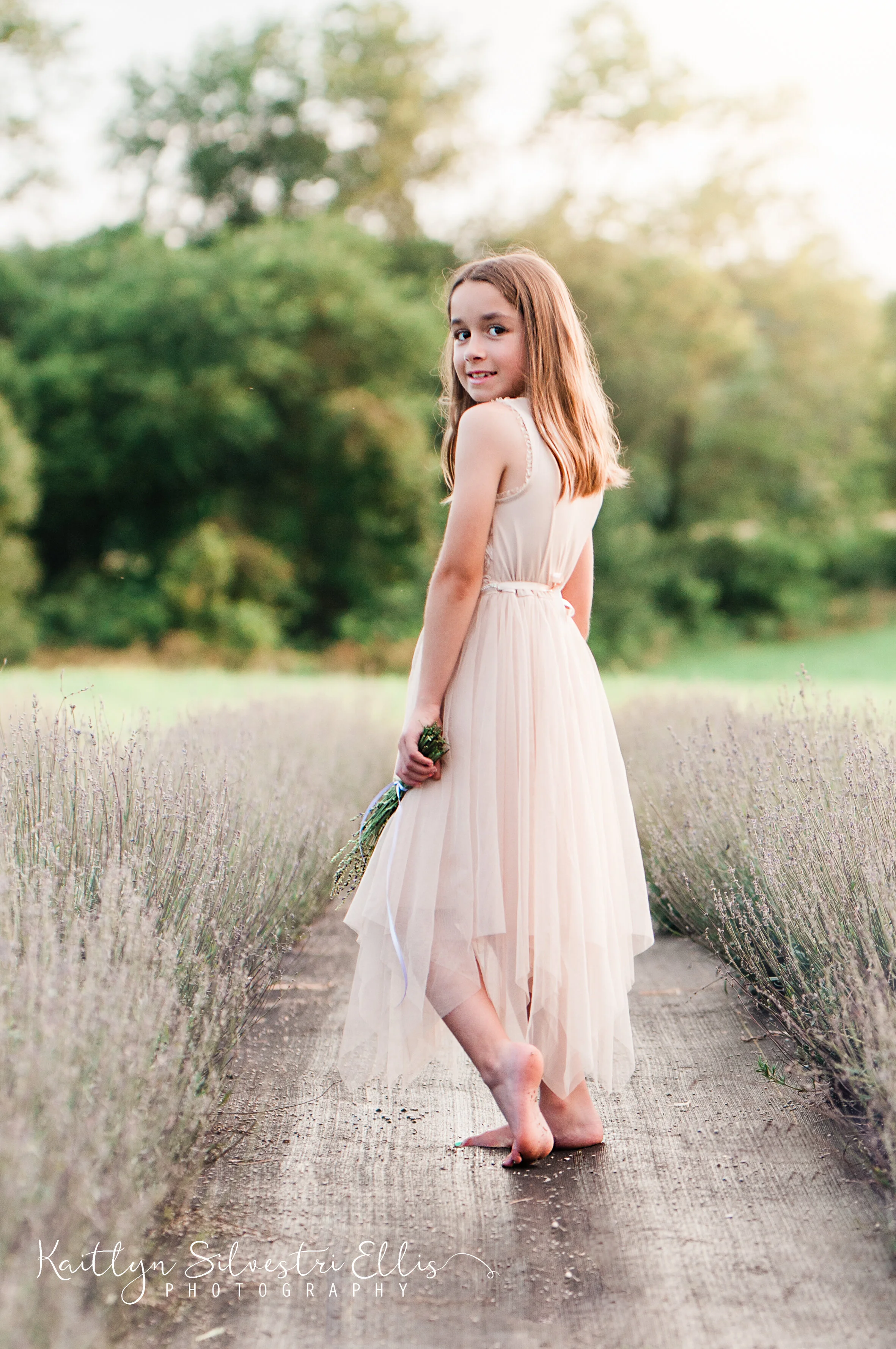 LavenderFieldweb-104.JPG