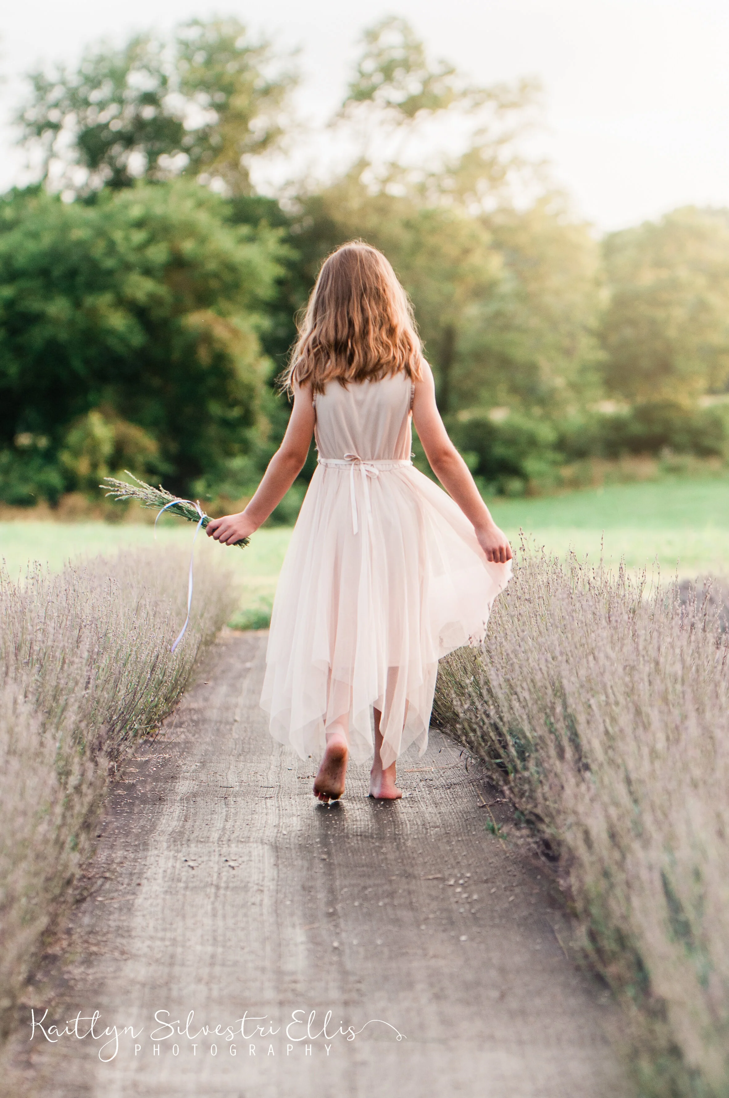 LavenderFieldweb-105.JPG
