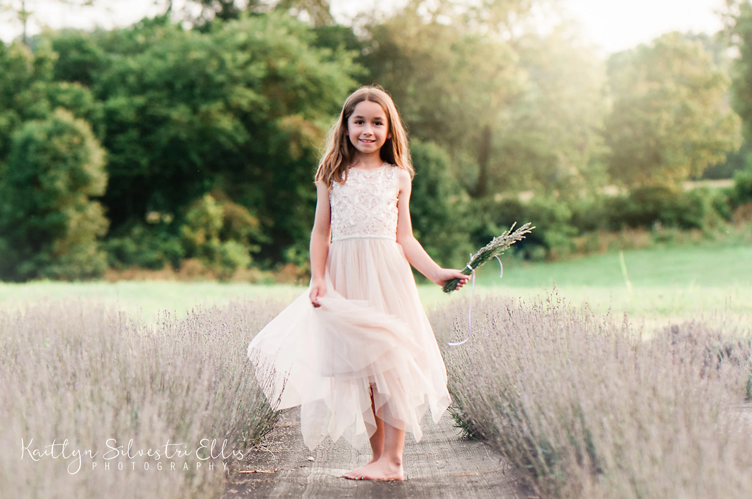 LavenderFieldweb-106.JPG