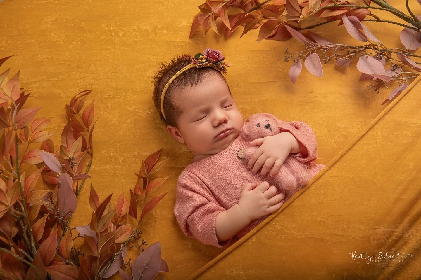 A touch of fall for this precious newborn session 🍂🧡 

#lexingtonkyphotographer 
#newbornphotography #LexingtonKY 
#LexingtonNewbornPhotography 
#NewbornPhotography 
#NewbornPhotographer 
#MaternityPhotography 
#PregnantInLexington 
#LexingtonMoms 