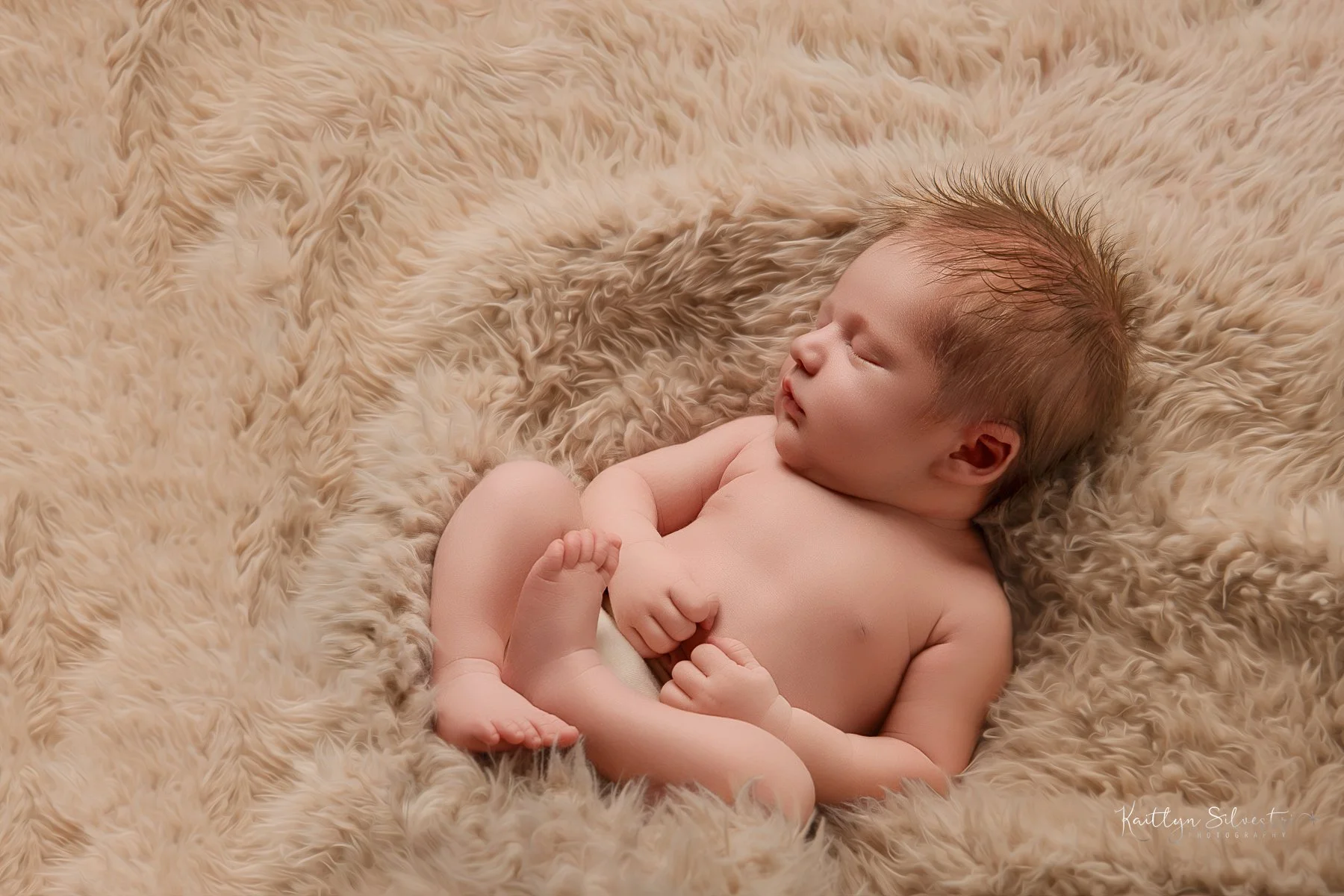 KaitlynSilvestriPhotography25web--8.JPG