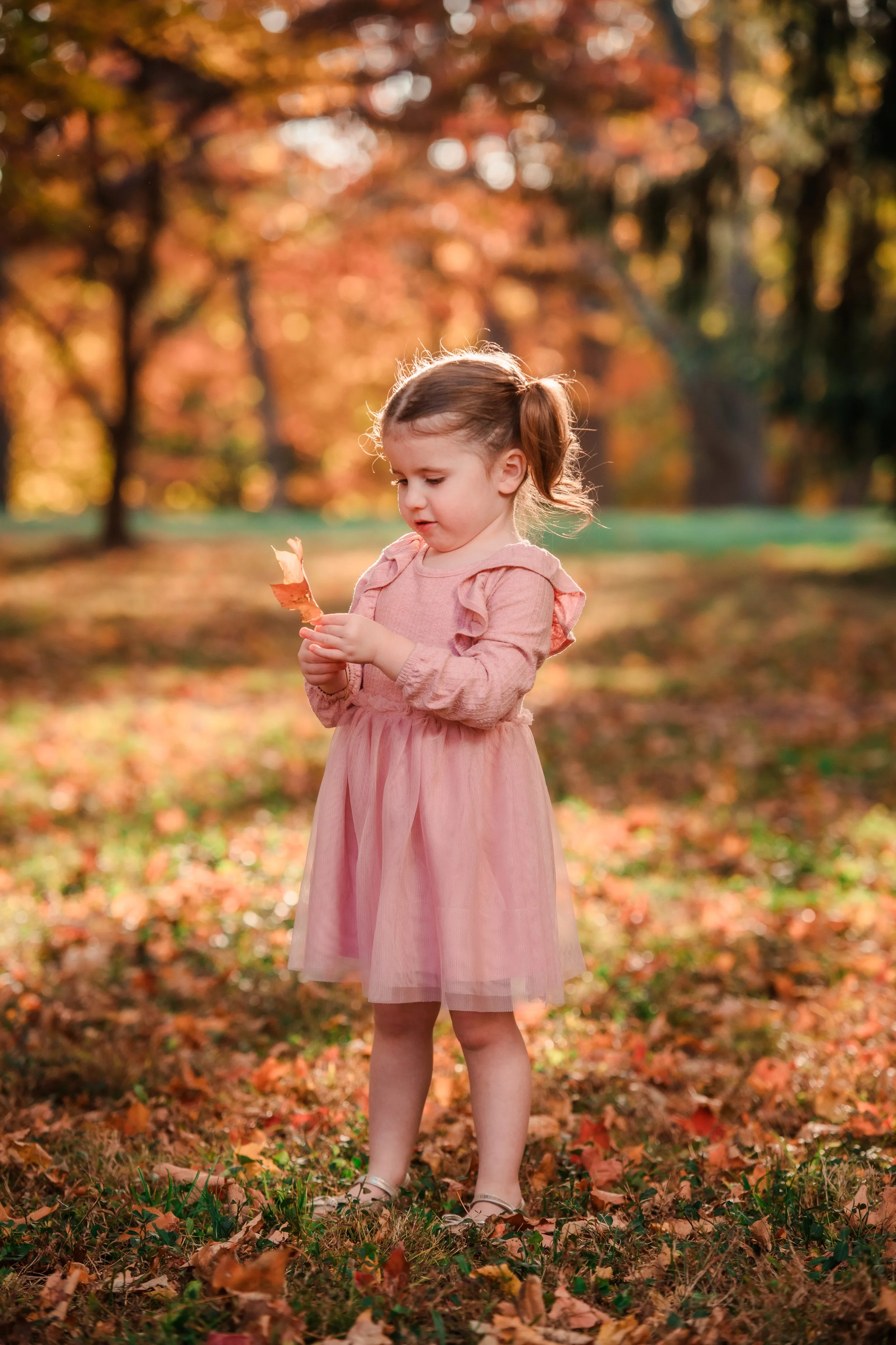 KaitlynSilvestriPhotography24PF-7171.JPG