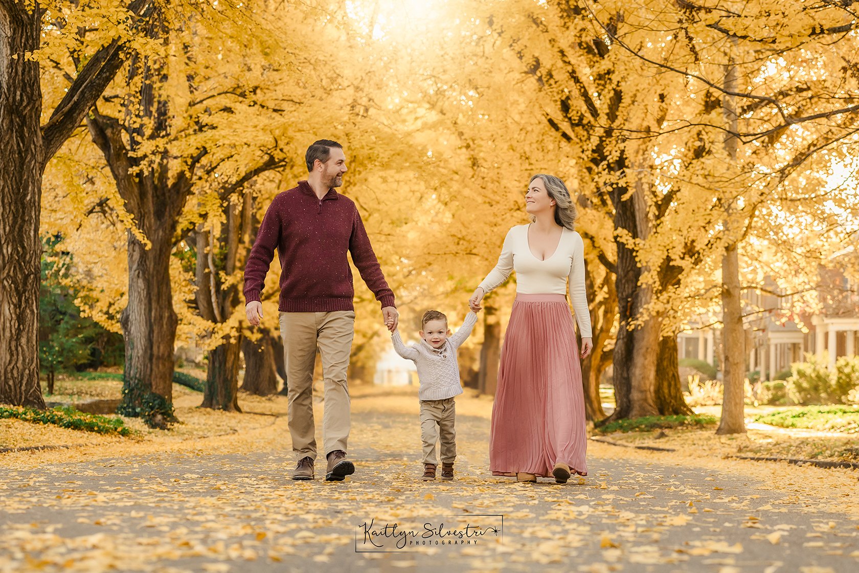 family walking beneath golden fall trees on catalpa road near ashland, the Henry clay estate in Lexington, ky