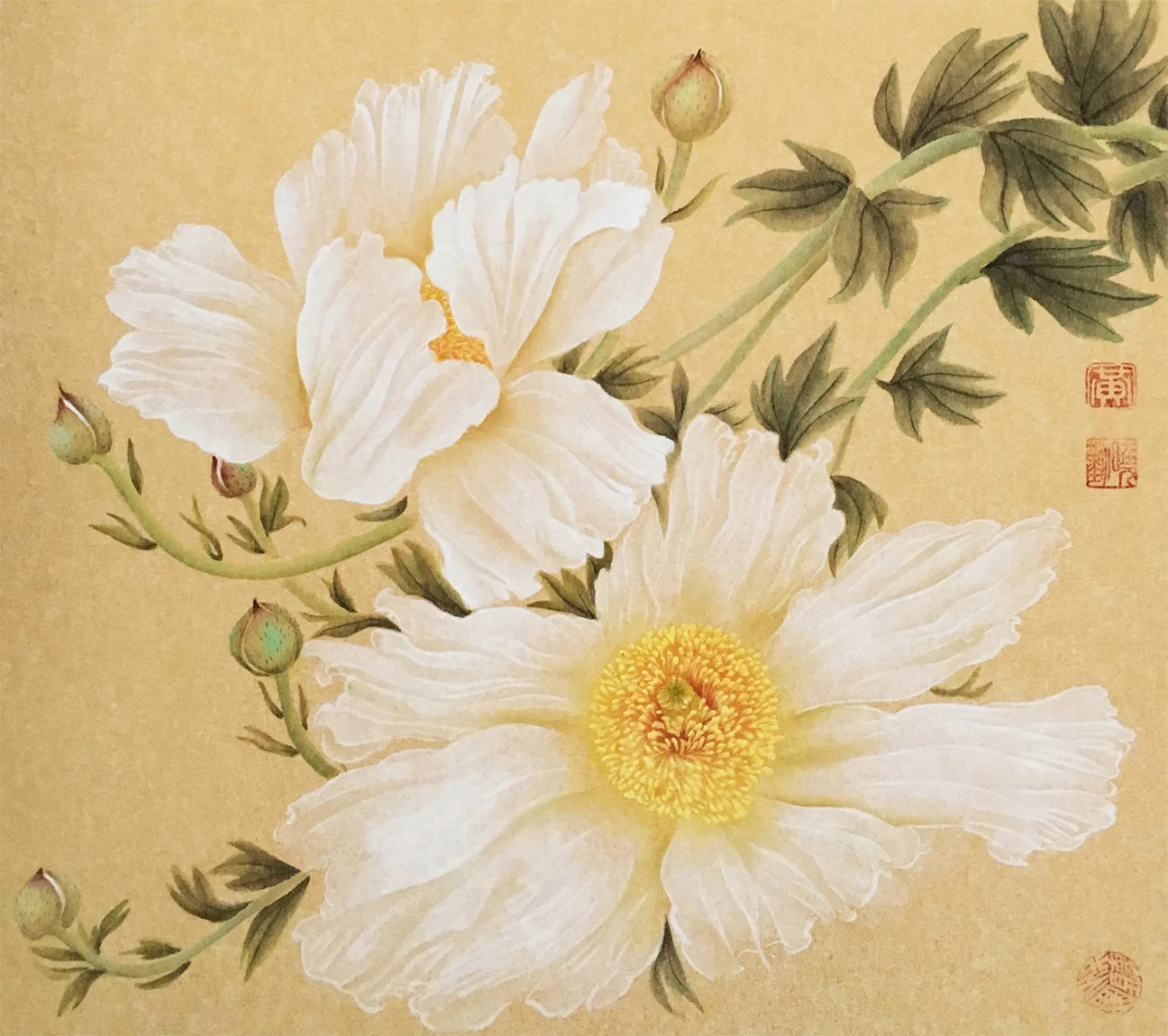 Matilija Poppies No.2