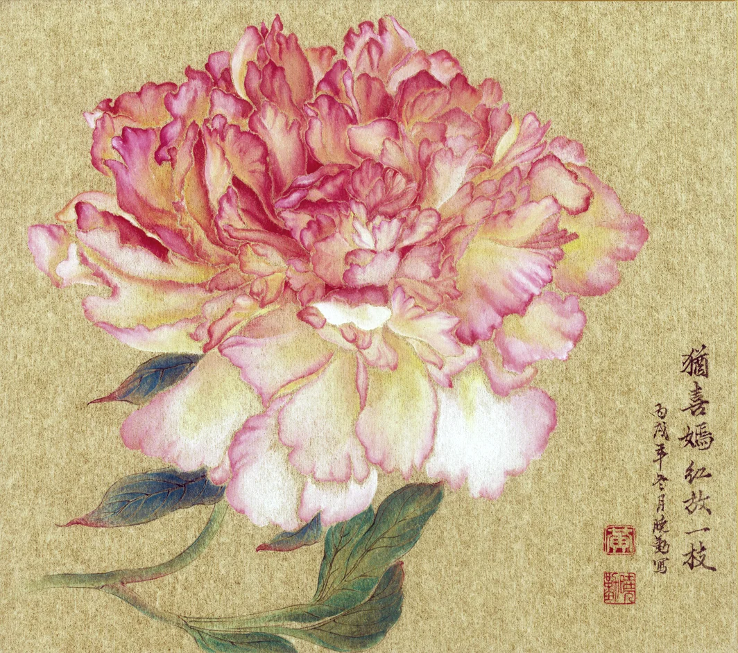 Late-Bloom Pink and White Peony