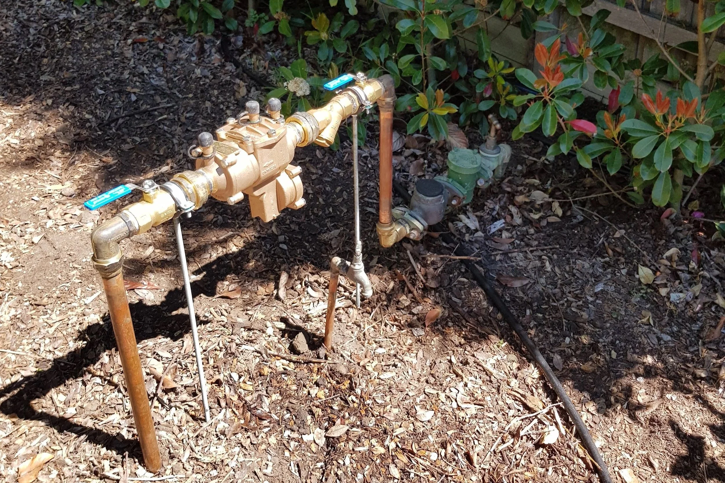 A garden sprinkler system with brass pipes, valves, and a spray head, installed among mulch and green shrubbery.