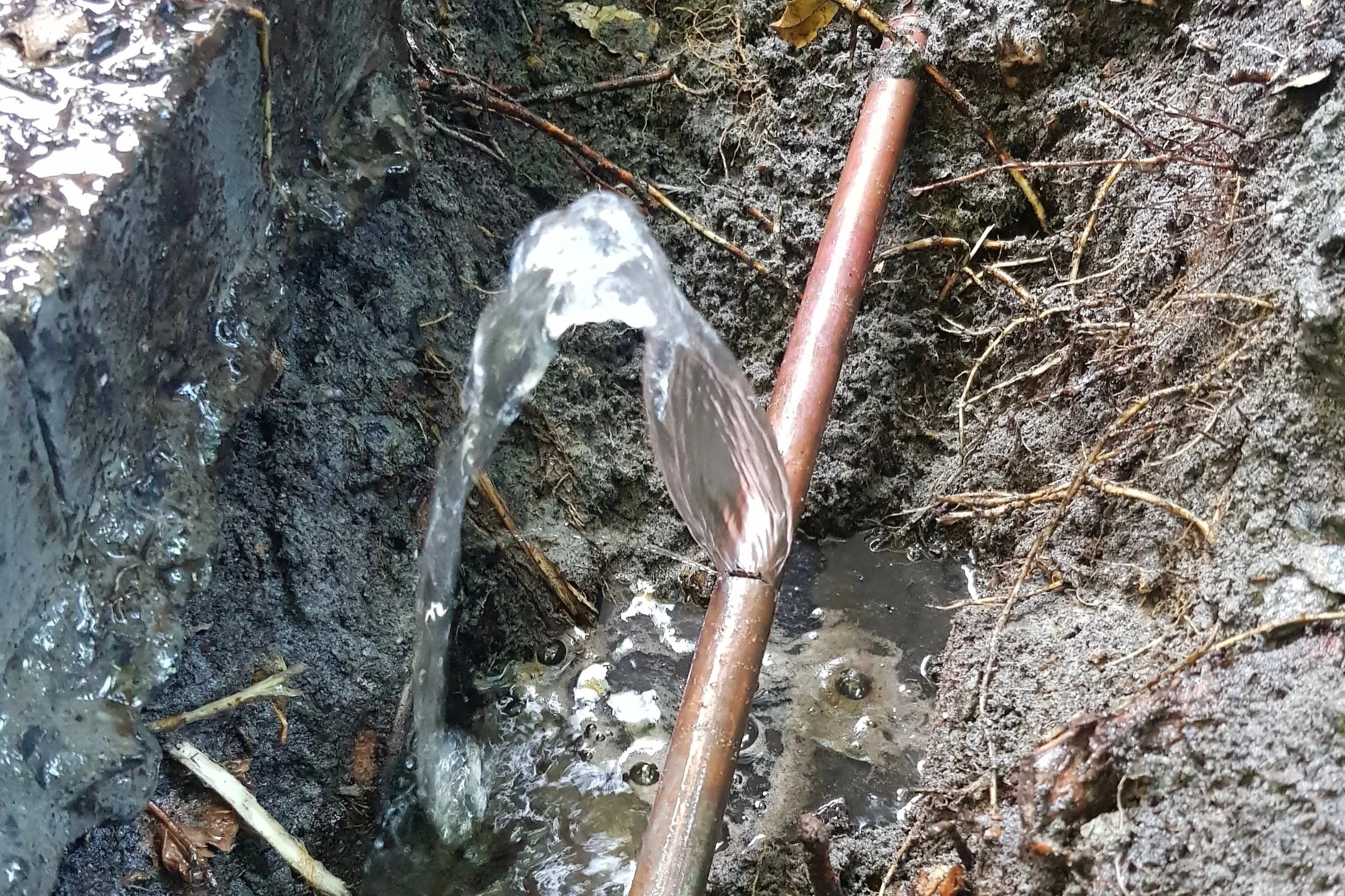 Water flowing from a tap into muddy soil with small sticks and roots, likely in a forest or garden environment.