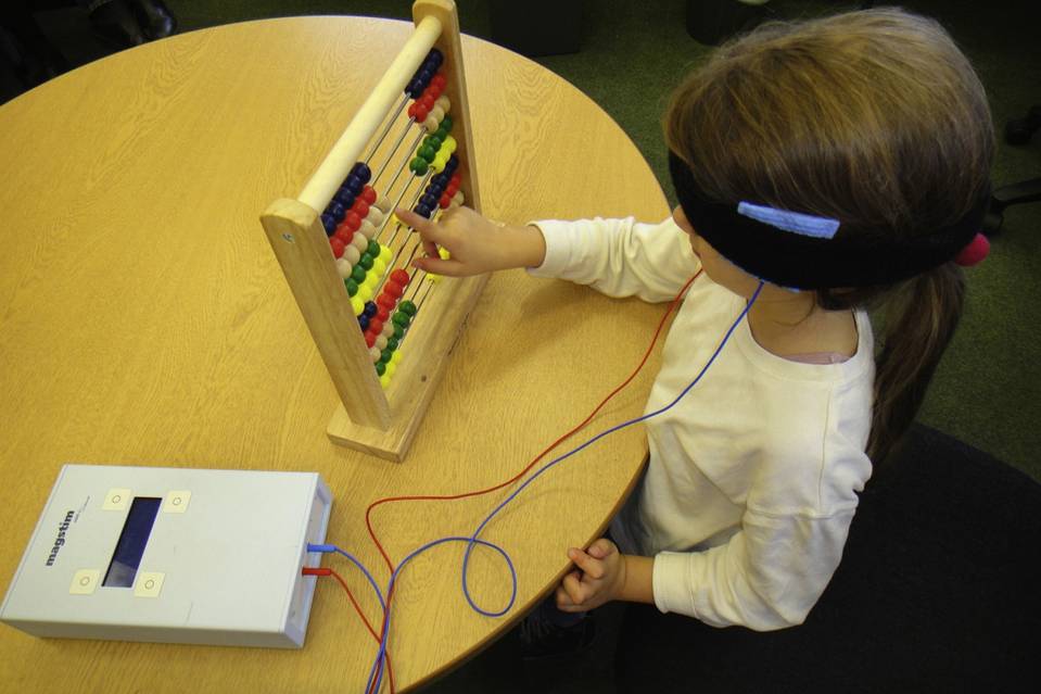 The Cognition, Learning, and Plasticity Lab at Oxford University