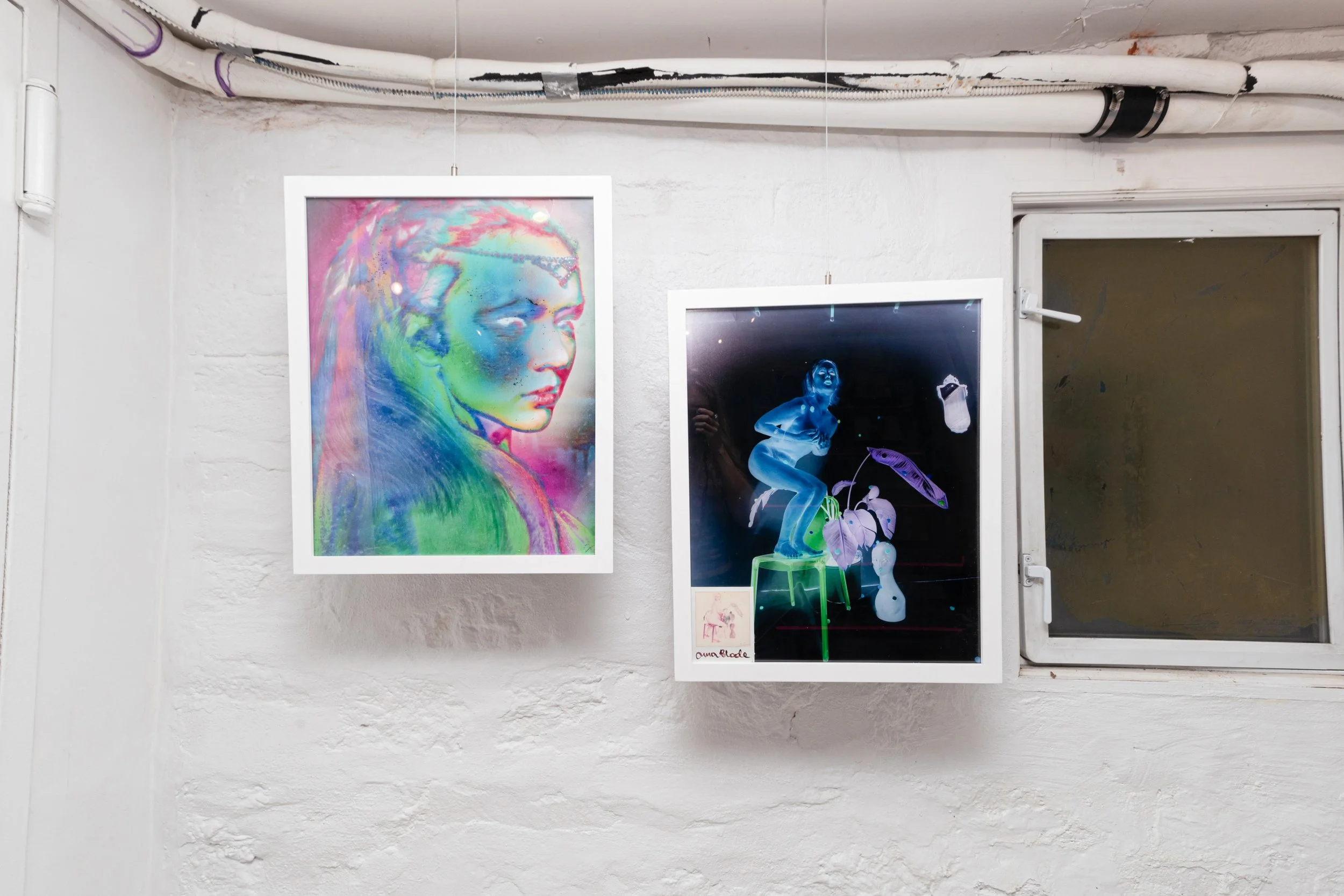 GenesisOpening-AquaRose-InstallShots-33.jpg