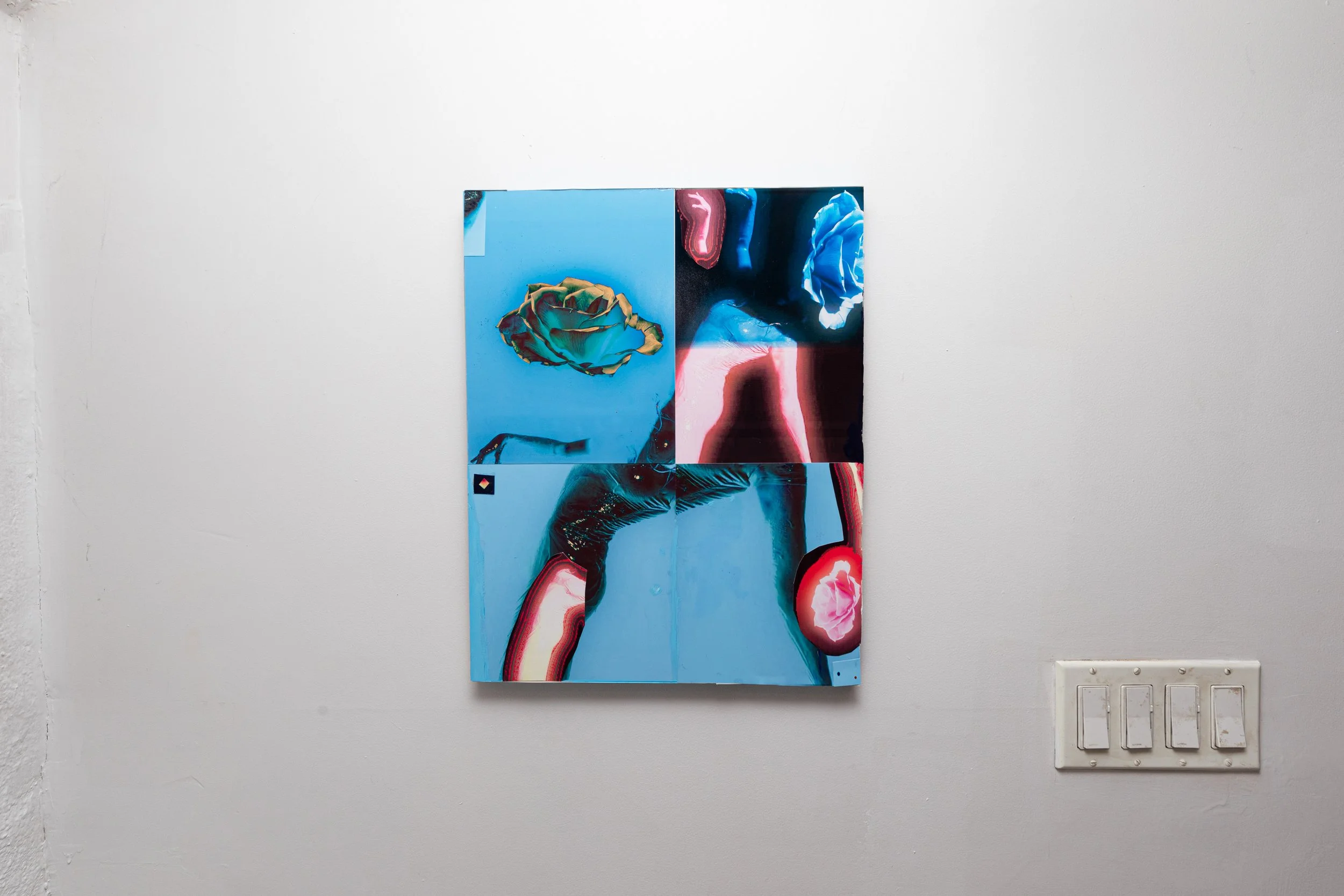 GenesisOpening-AquaRose-InstallShots-34.jpg