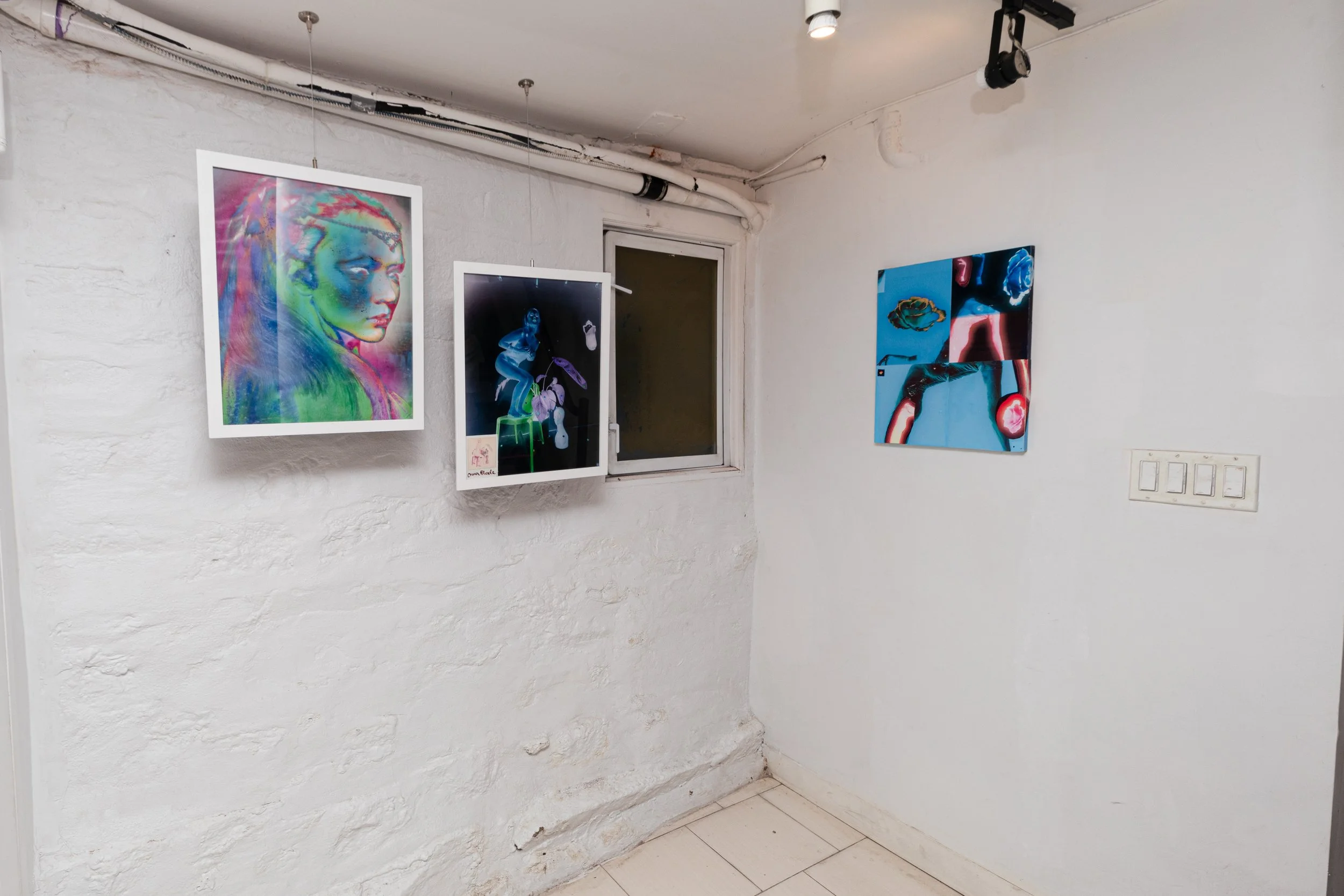GenesisOpening-AquaRose-InstallShots-35.jpg