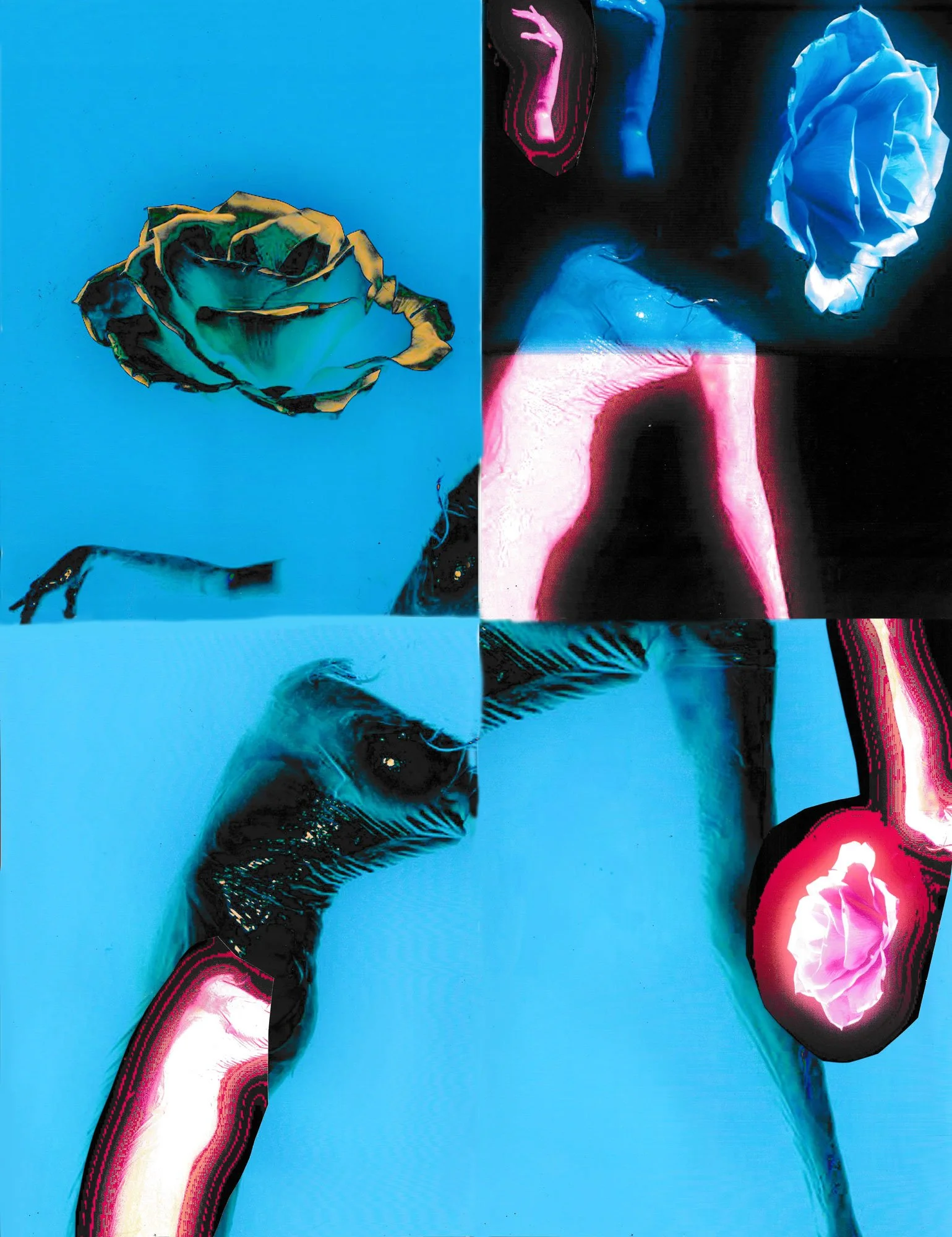 Cover-copy.jpg
