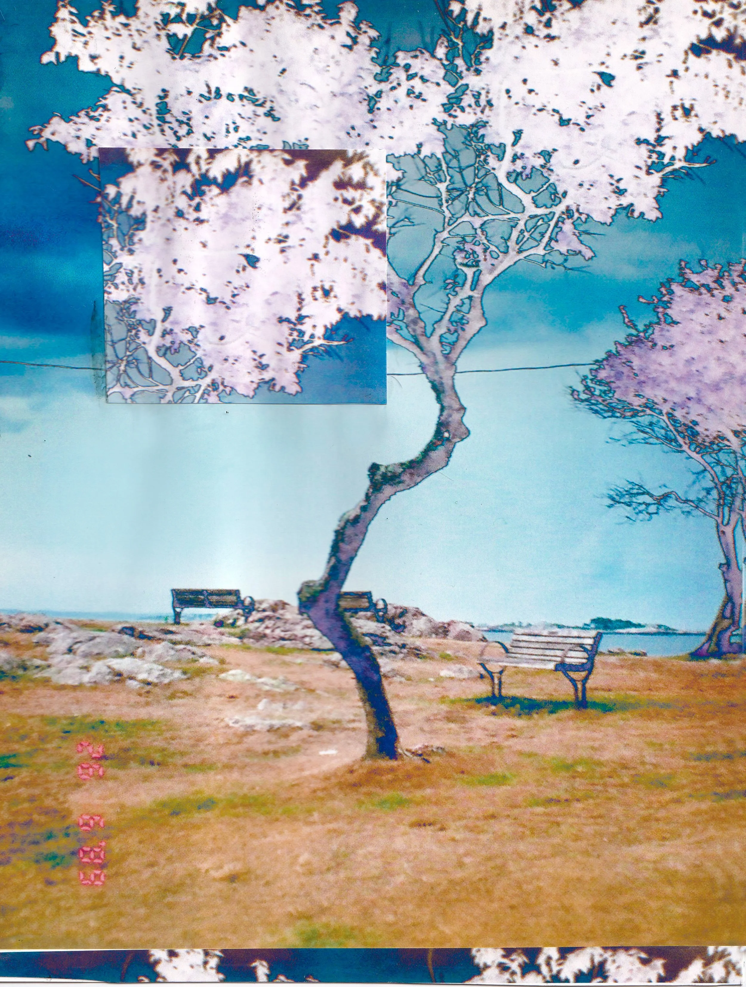 Astralgrove