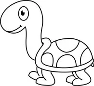 turtle.jpg