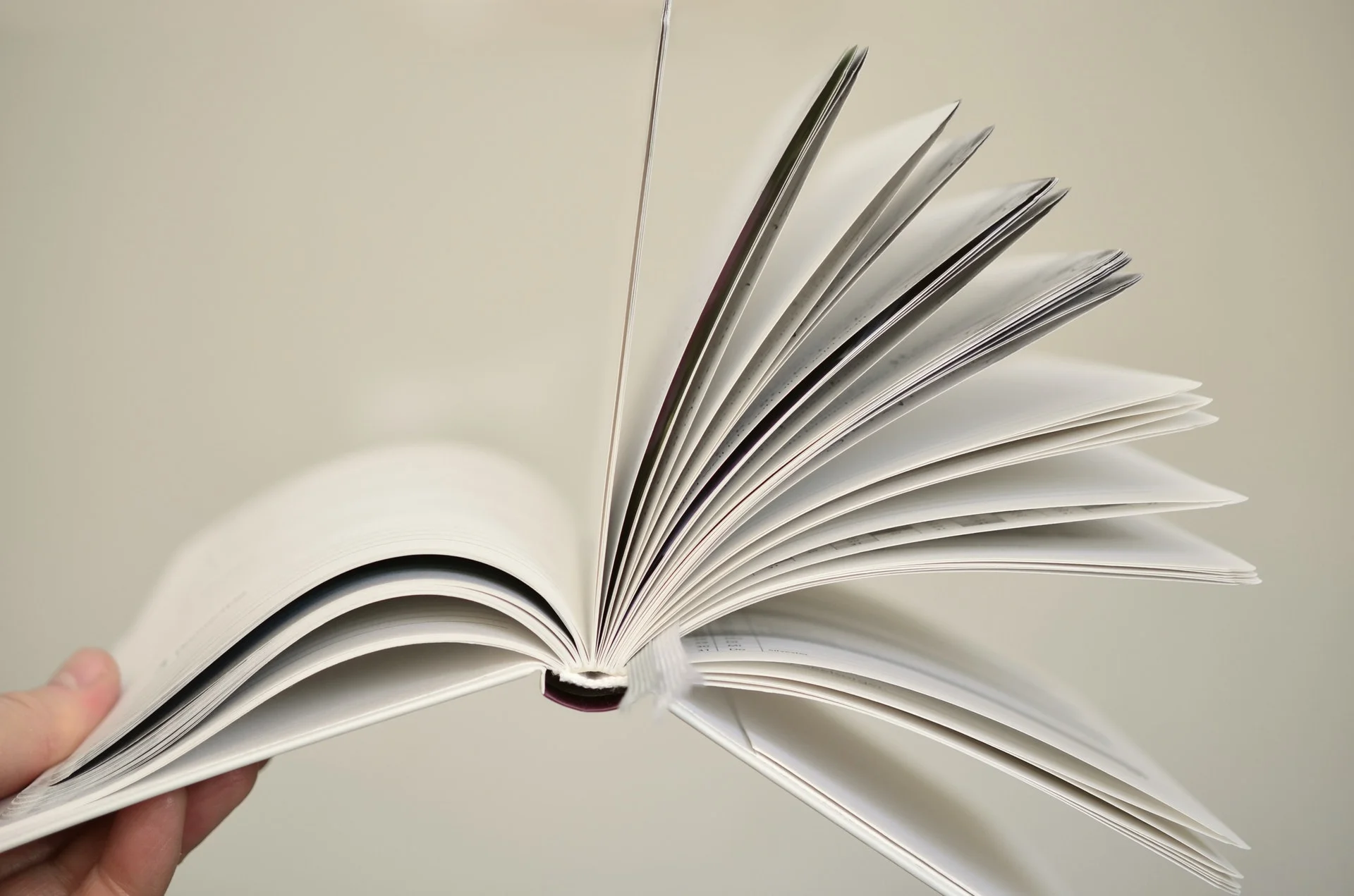 My Writing Life: Progress Report