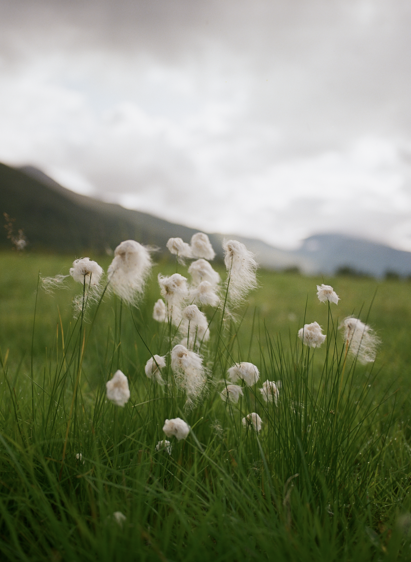 Screenshot 2026-01-30 at 11.29.42 AM.png