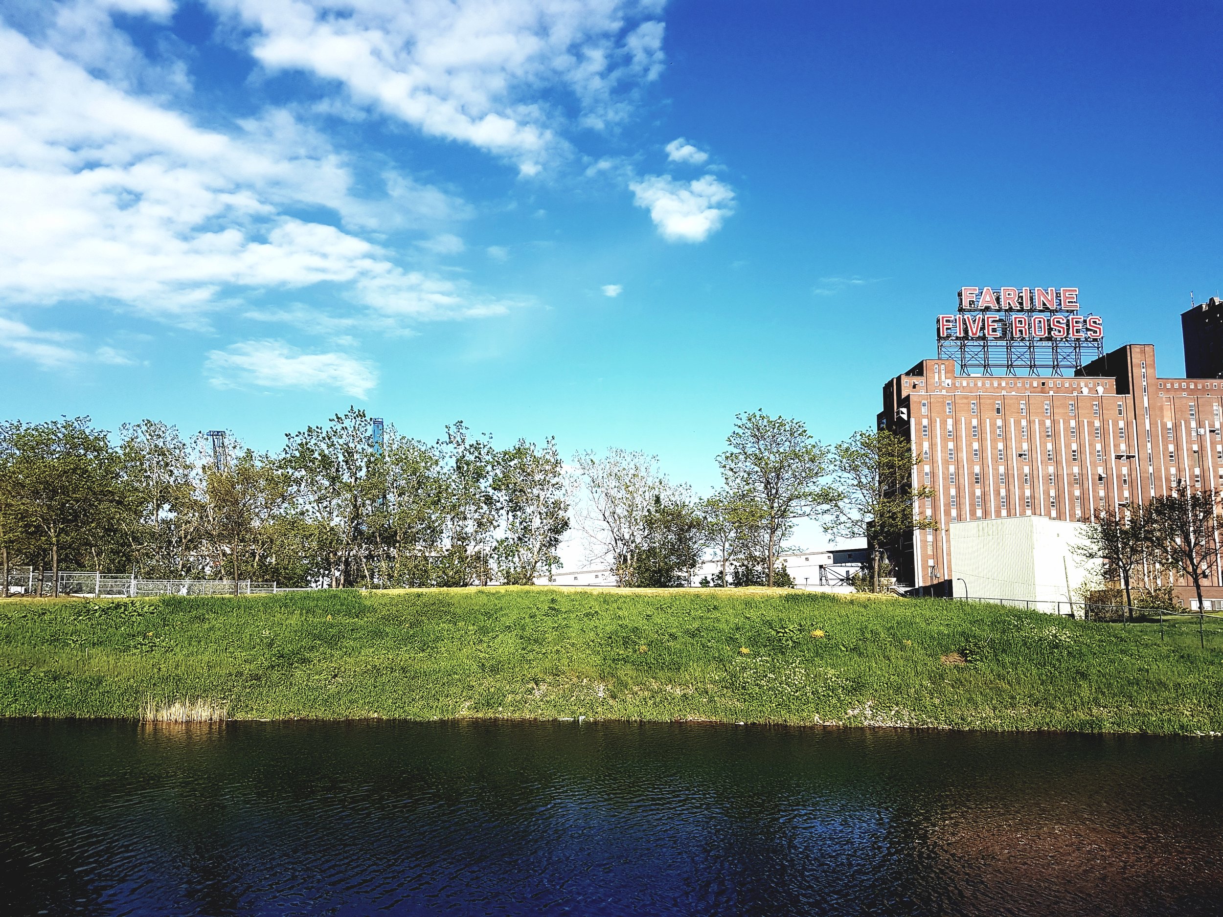 20170614_202907.jpg