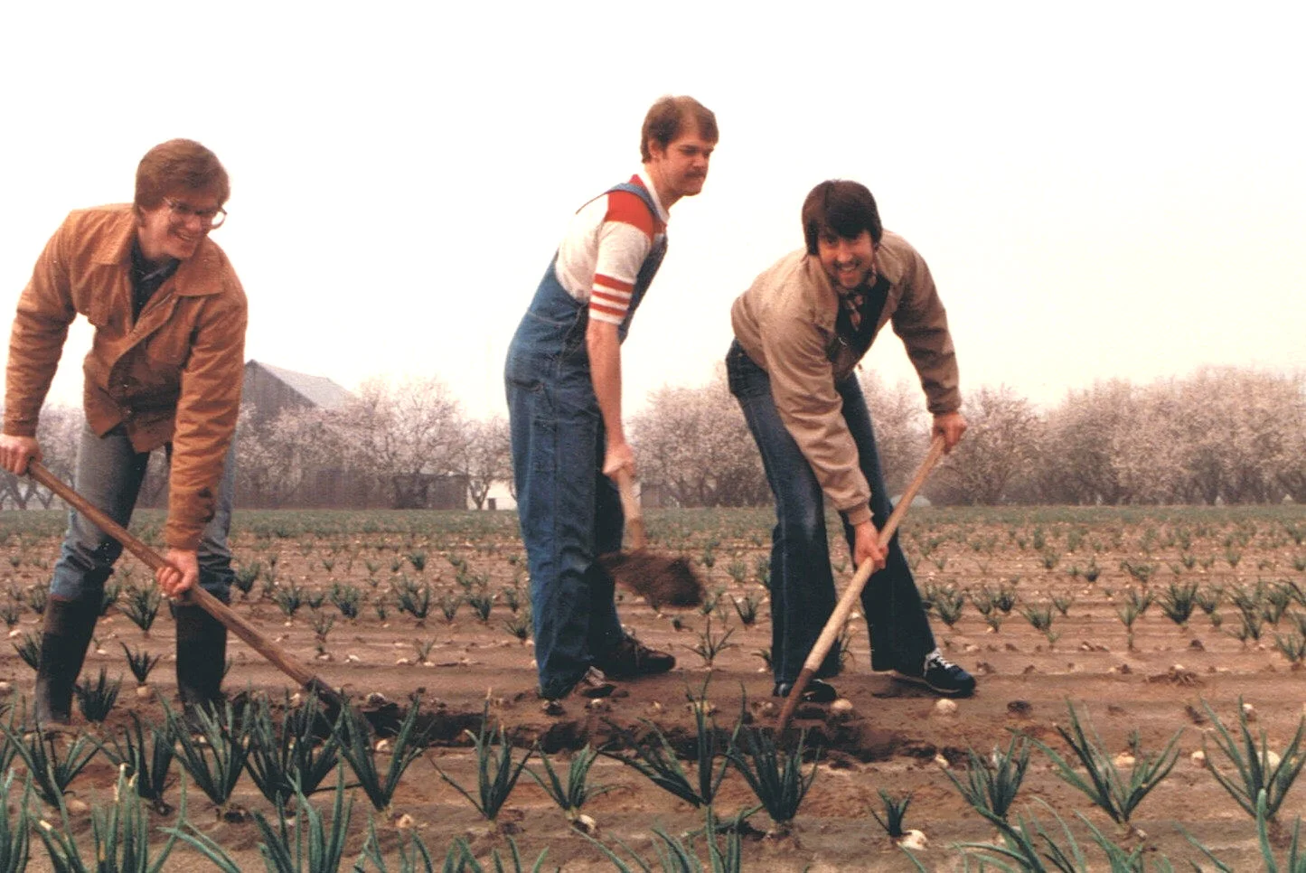 Digging the hole.jpg