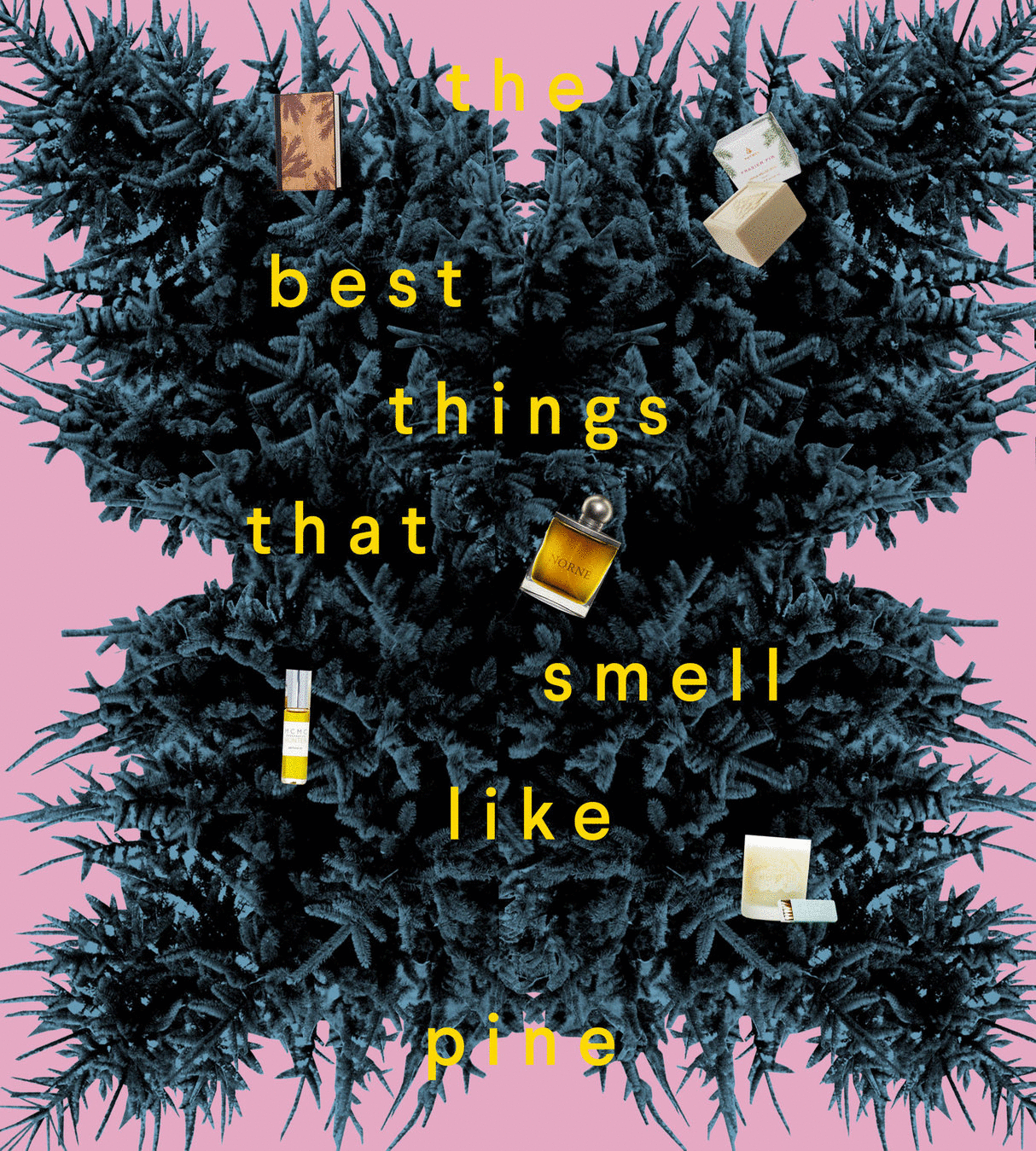 pine.gif