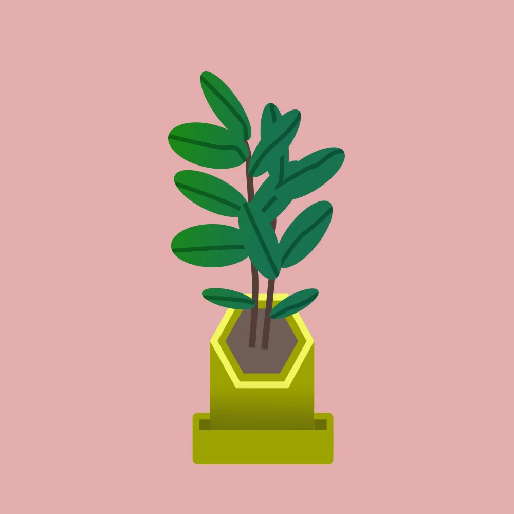 rubber-tree.jpg