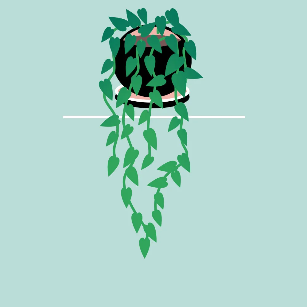 pothos.jpg