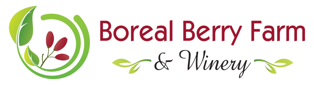 Boreal-Logo-Horizontal-1200x325.png