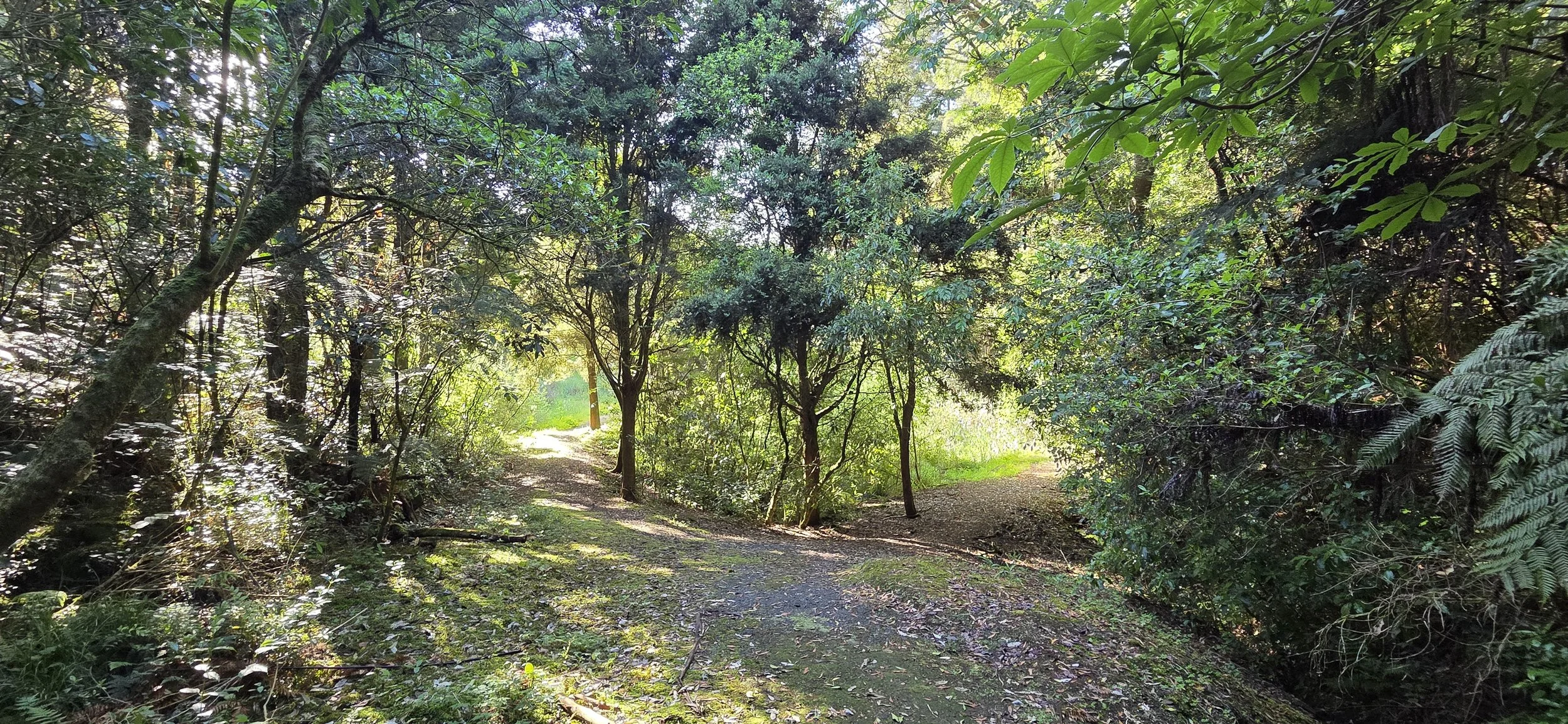 2025-11-02 08.38.58.jpg