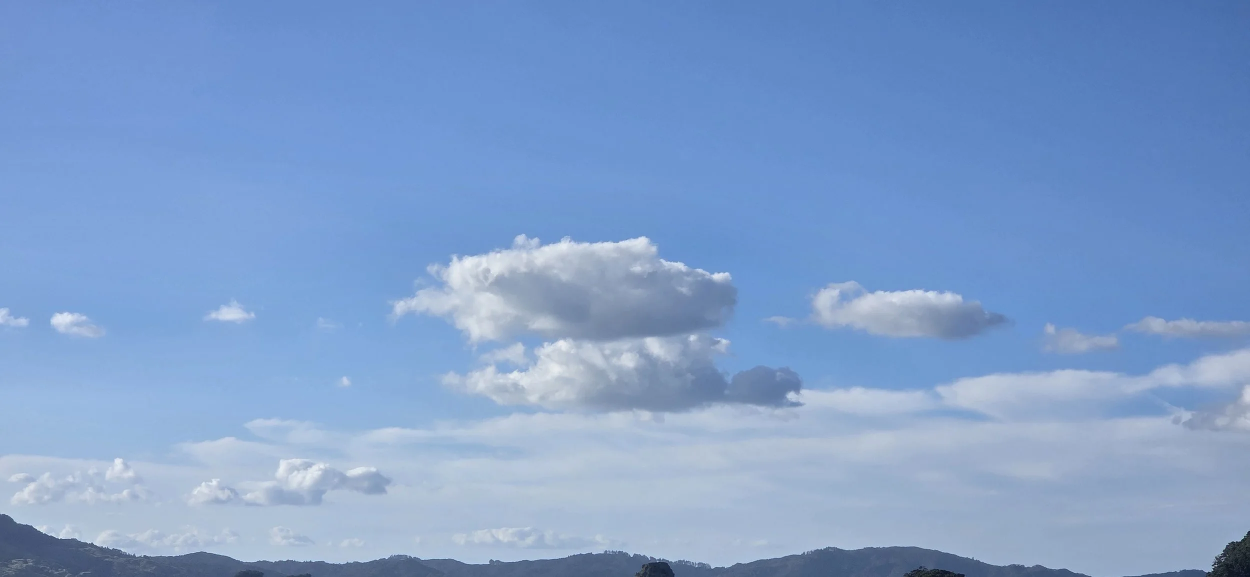 2026-01-29 18.37.19.jpg