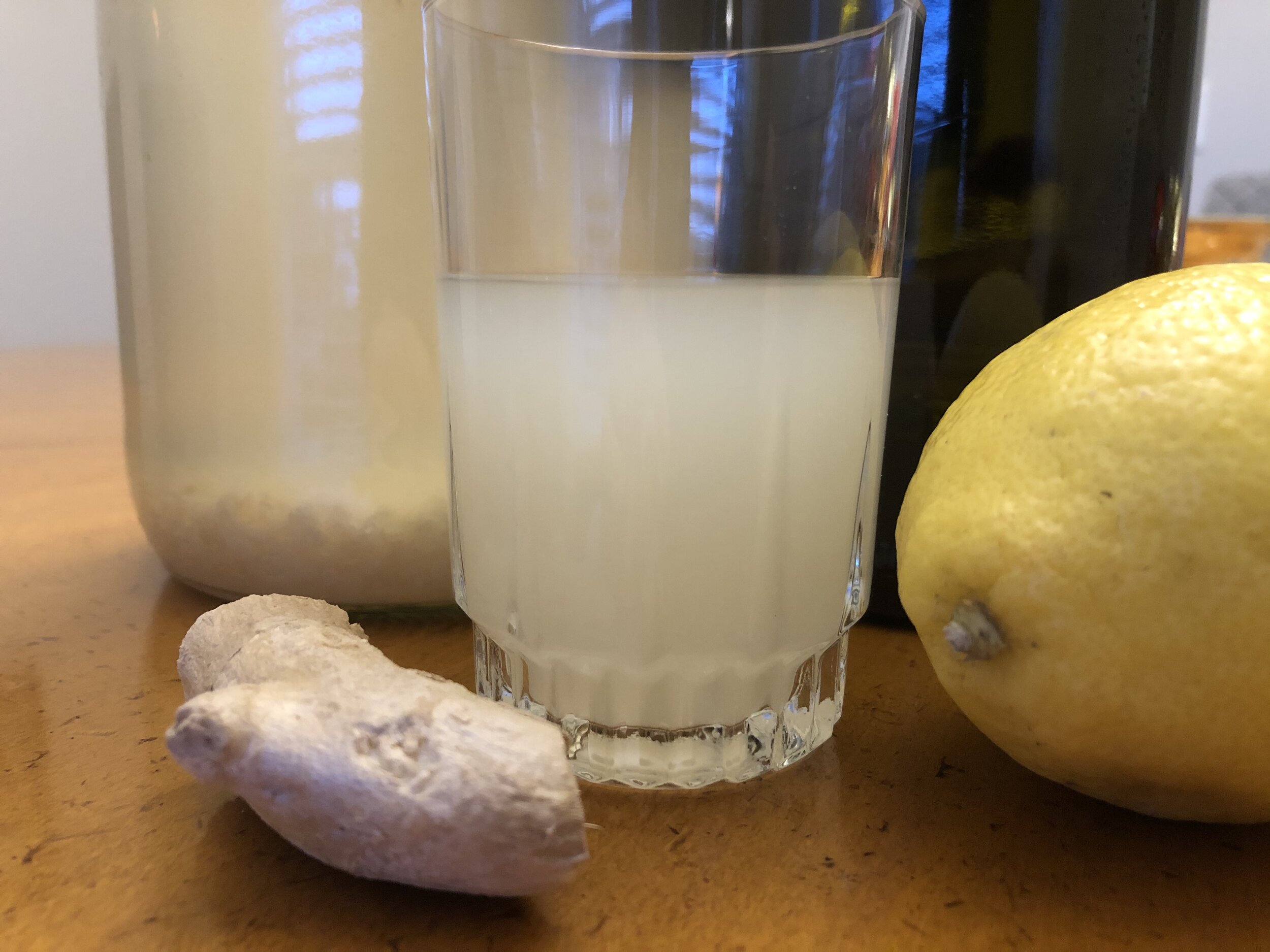 Sage plant cuisine recipes