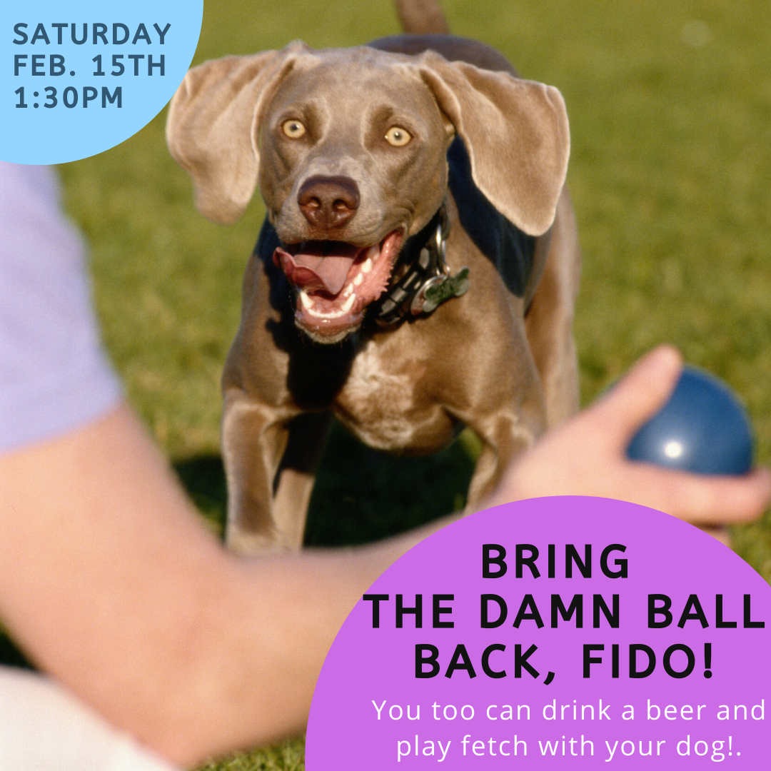 fido fidelity