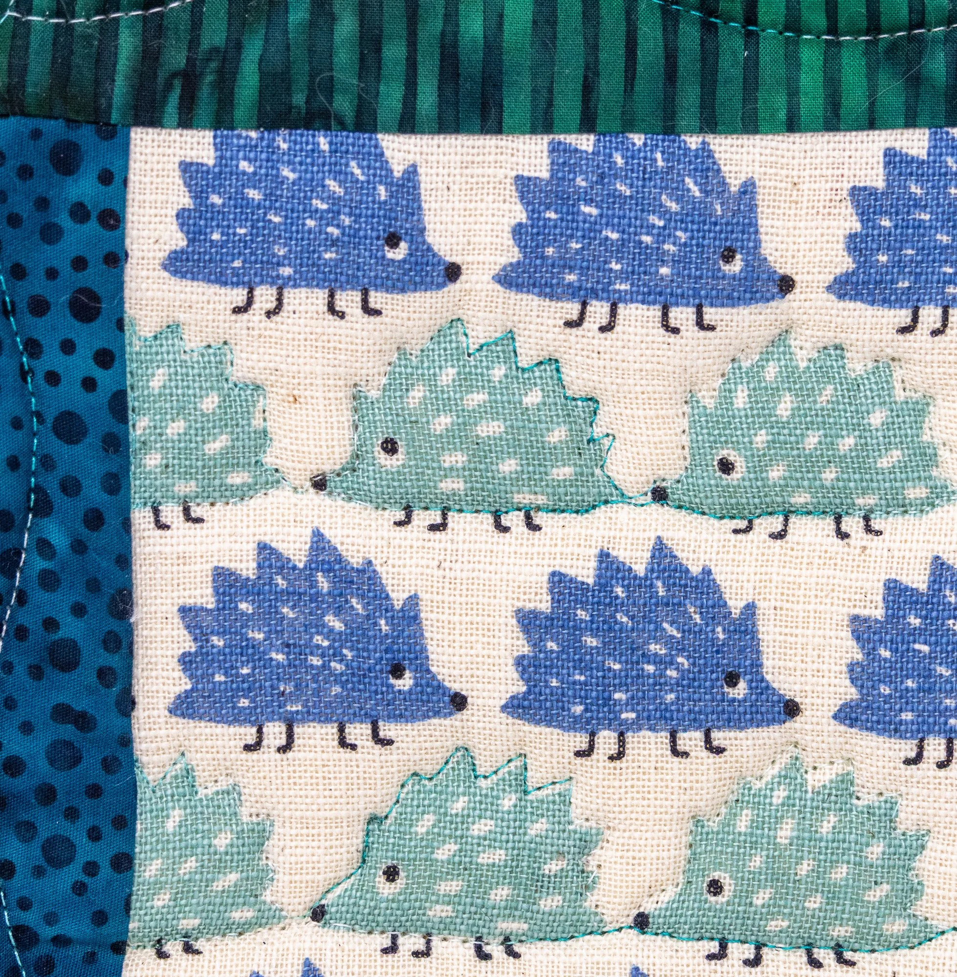 Blue teal hedgehogs 7 front detail 2000px.jpg