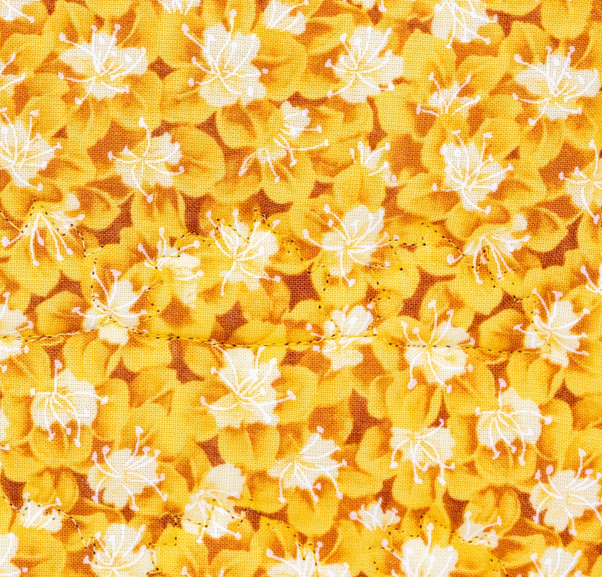 Orange yellow hedgehogs 2 back detail 2000px.jpg