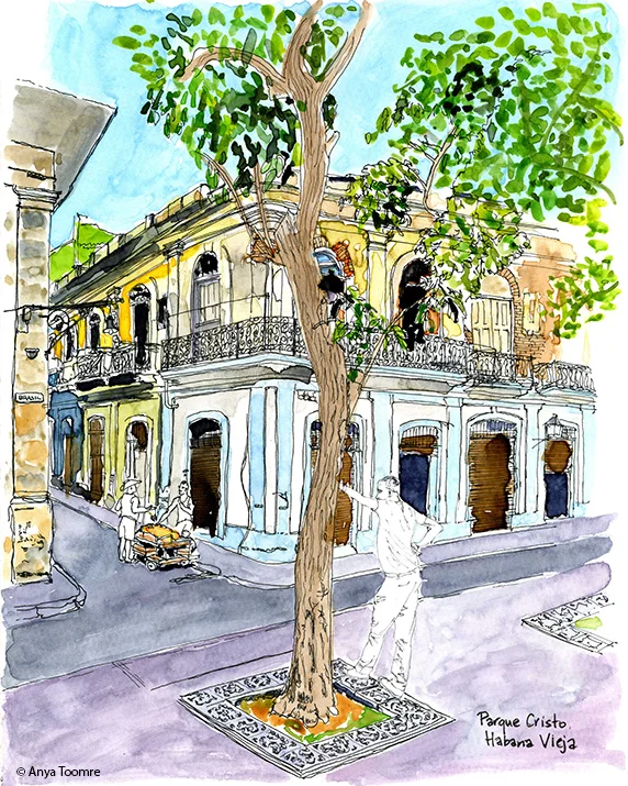 Activity in Parque Christo, Habana Vieja, Cuba