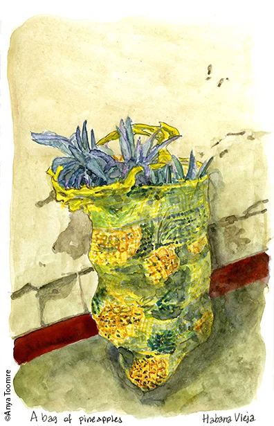 Una Bolsa de las Piñas - A Bag of Pineapples