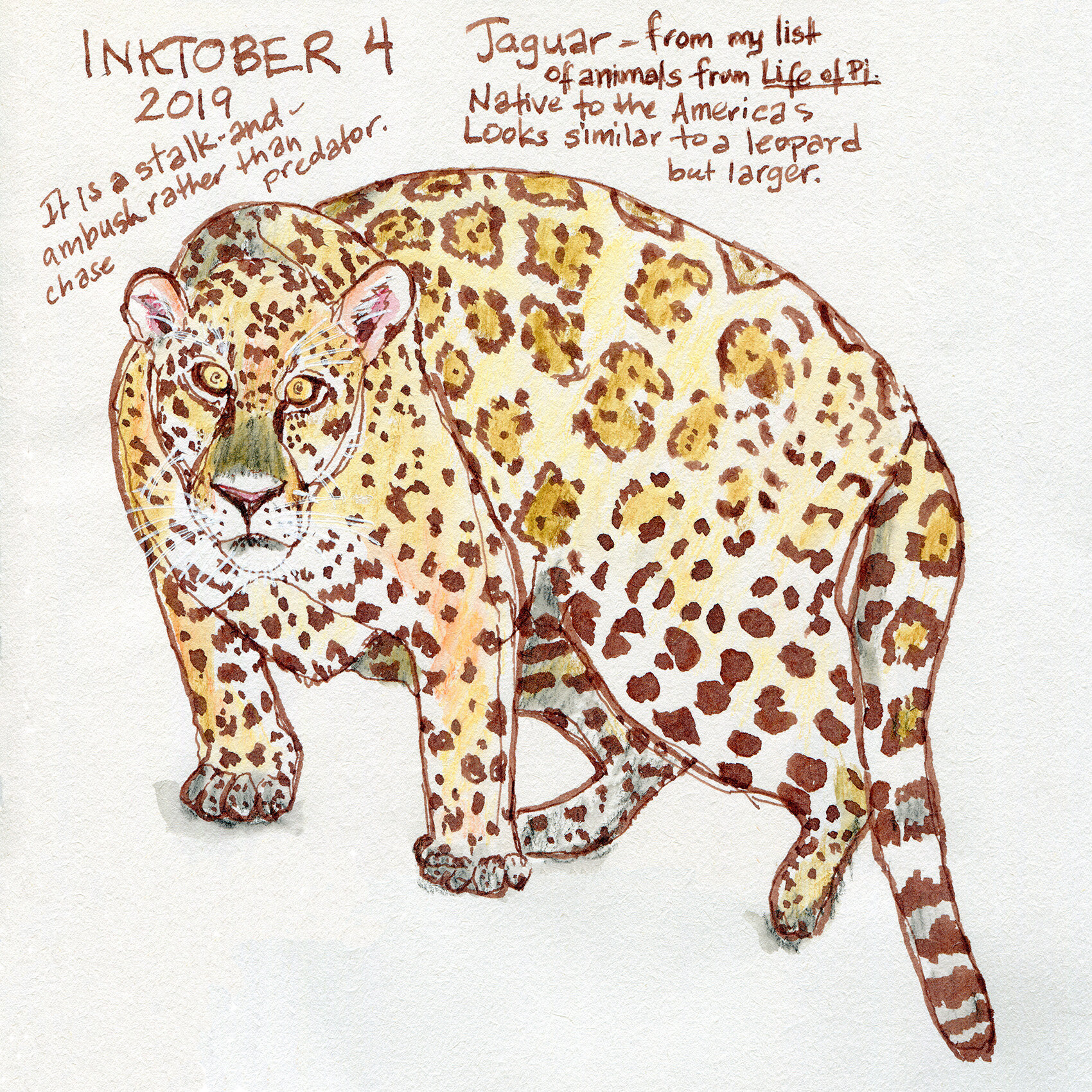 Inktober Day 4: a Jaguar