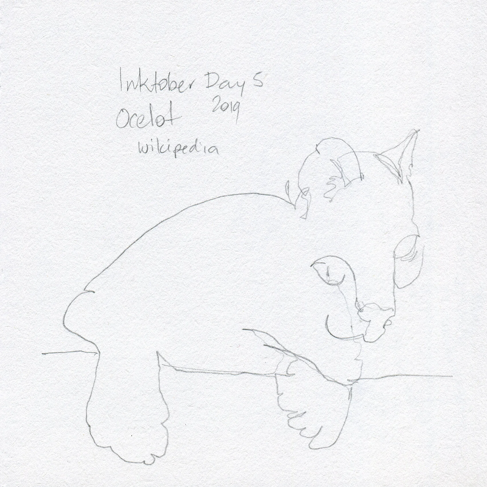 Blind Contour of an Ocelot