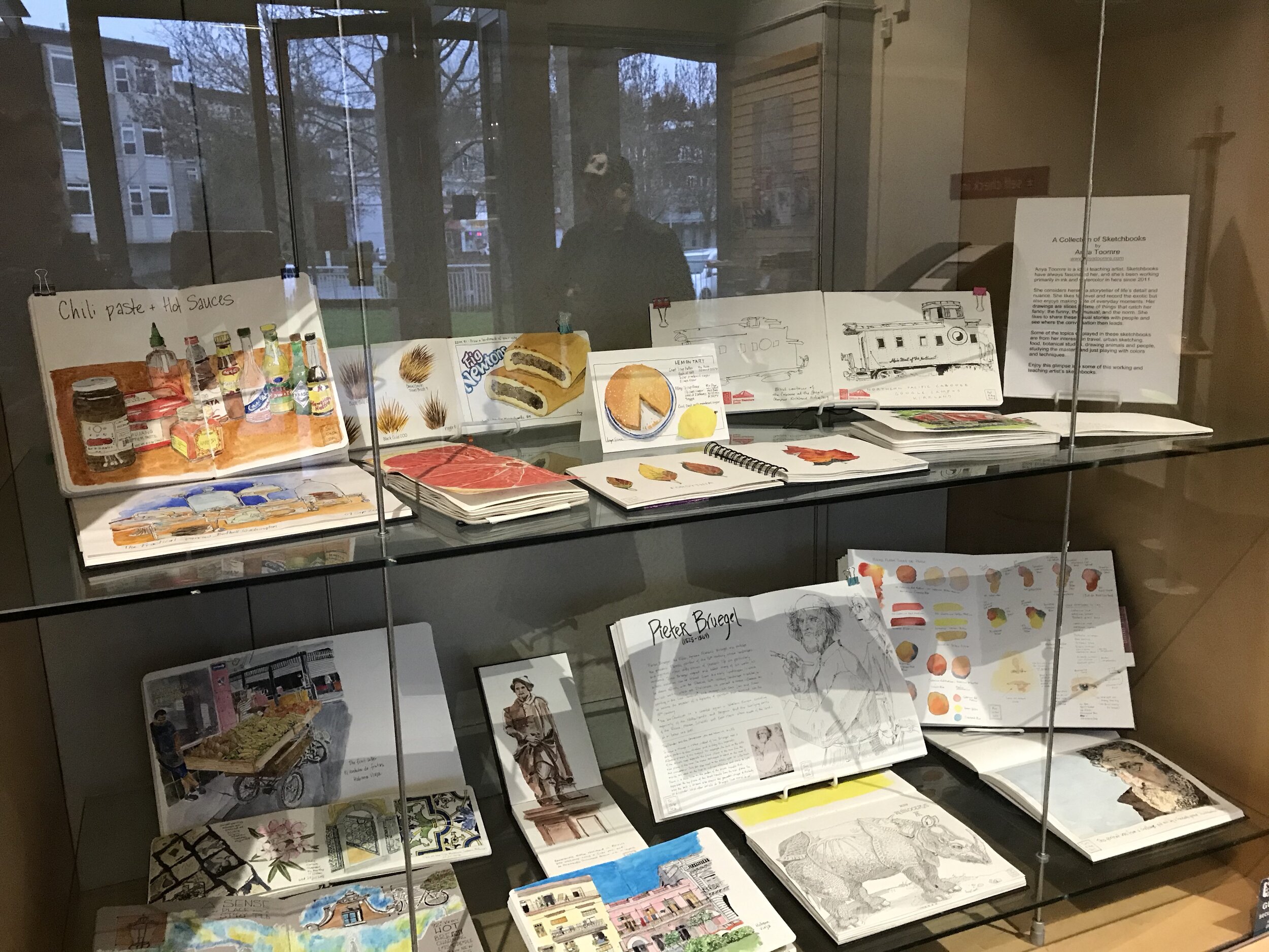 Middle row of my sketchbooks at Kirkland Library