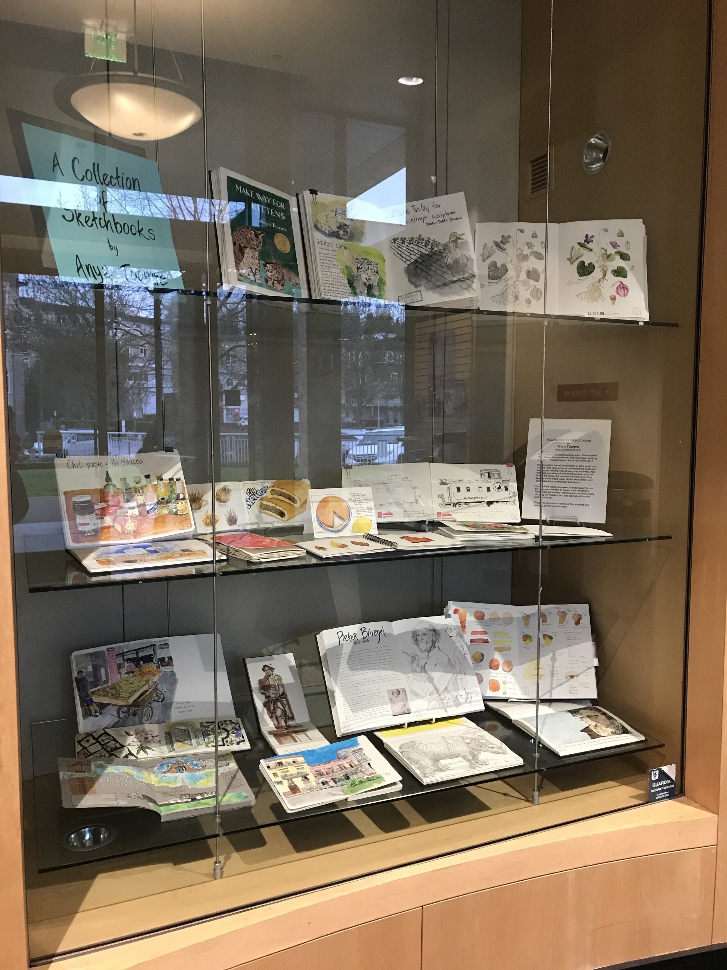 Display of my sketchbooks at the Kirkland Library