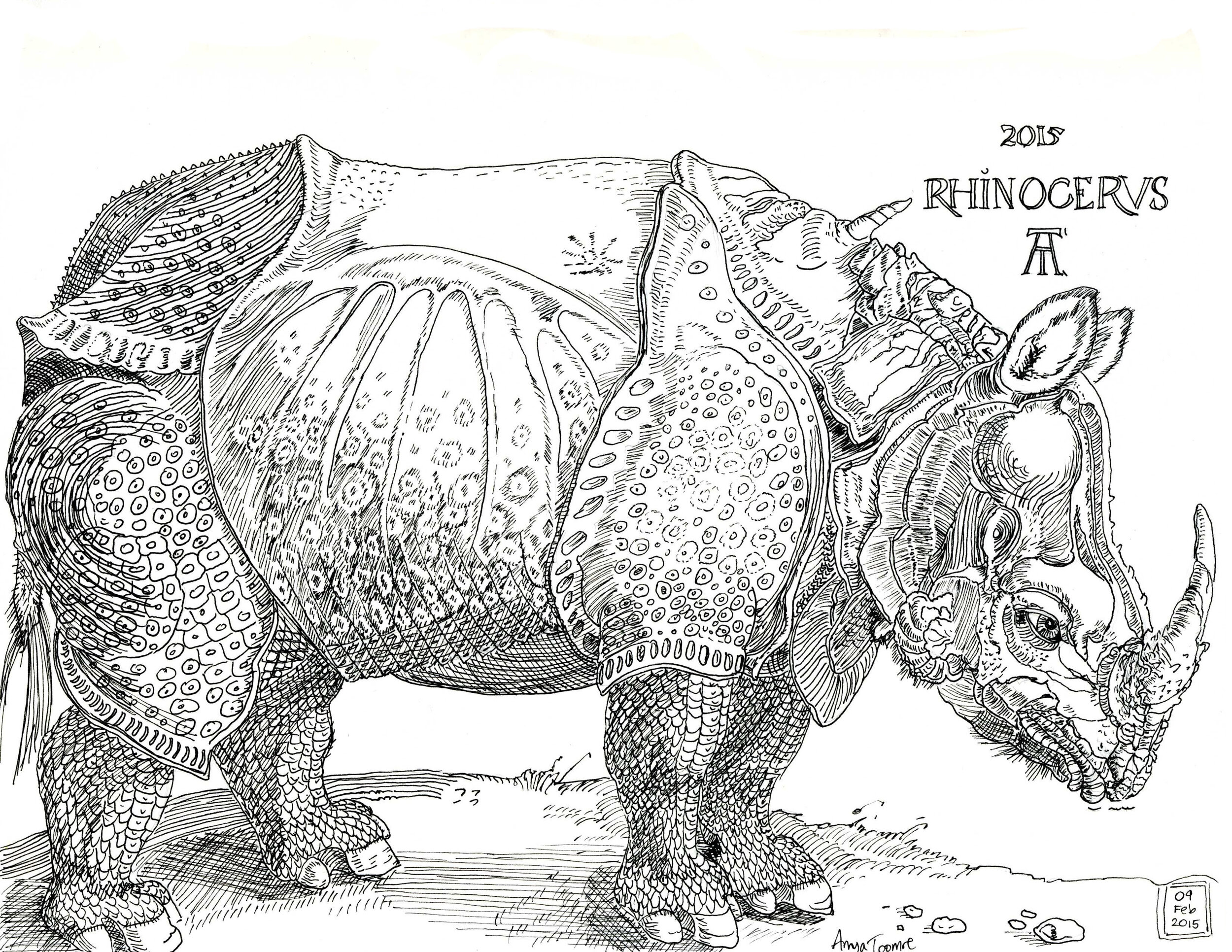 My Version of Dürer's Rhinoceros