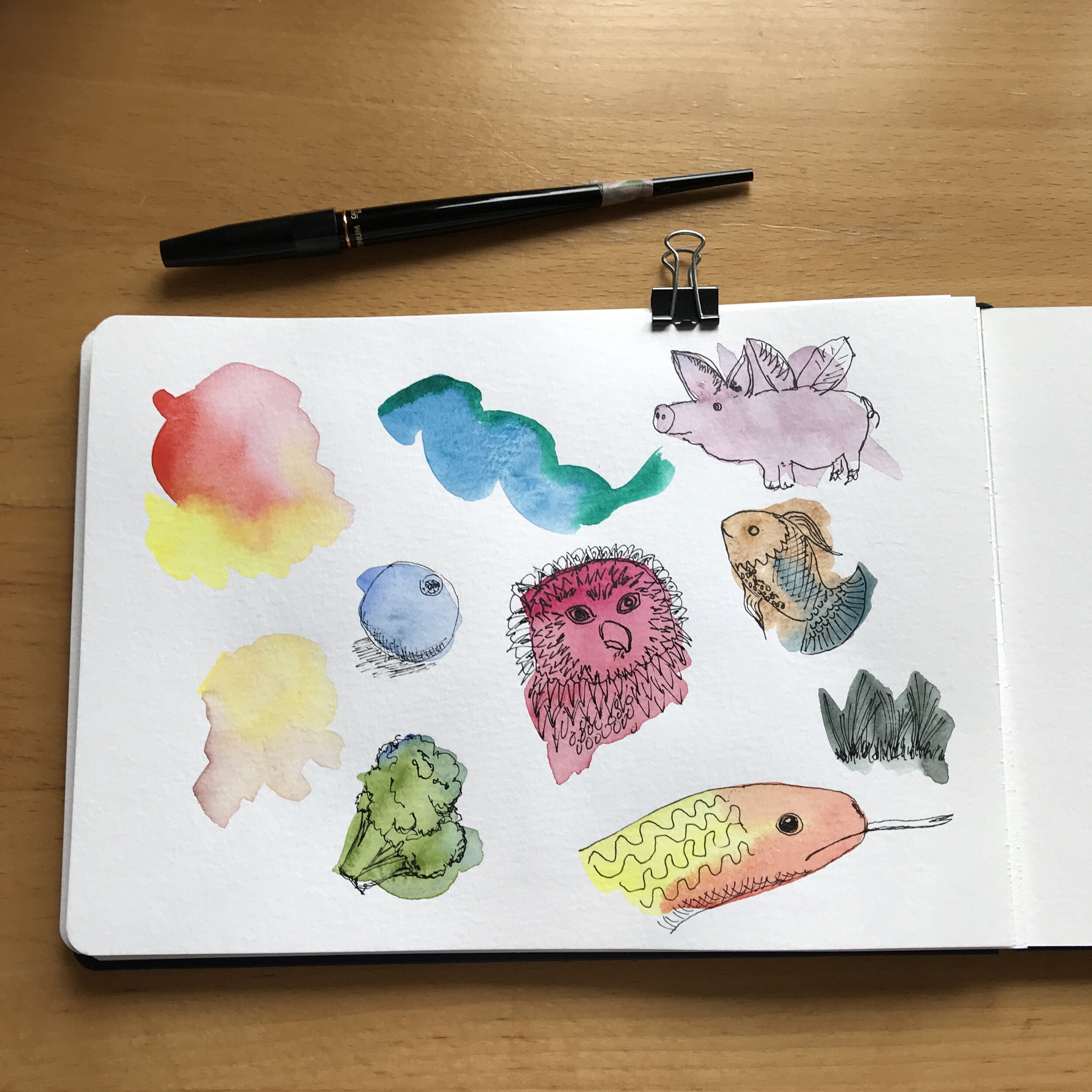 A Video of an Ink and Watercolor Sketch of New Art Supplies — Anya Toomre  Studios