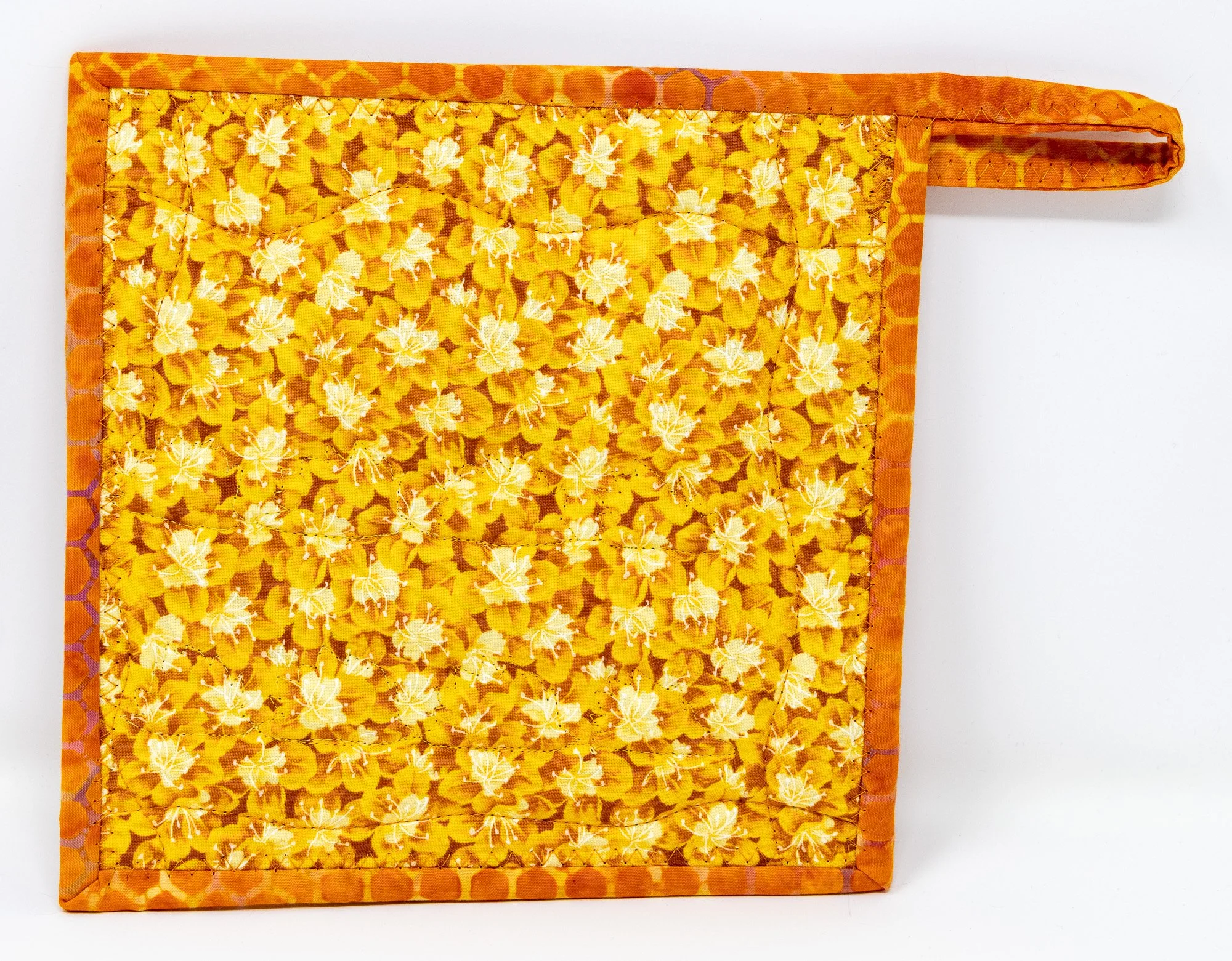 Orange yellow hedgehogs 2 back 2000px.jpg