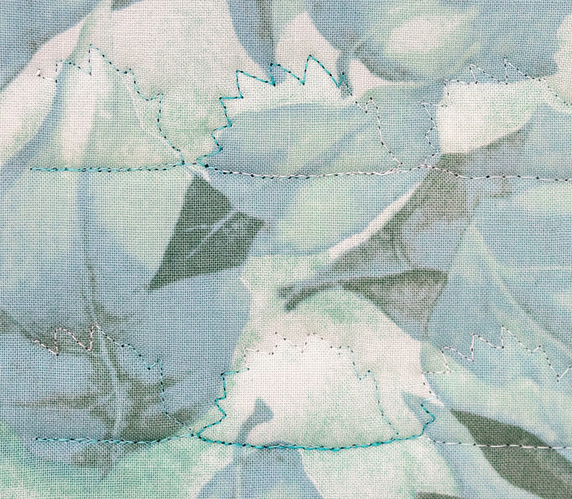 Blue teal hedgehogs 3 back detail 2000px.jpg