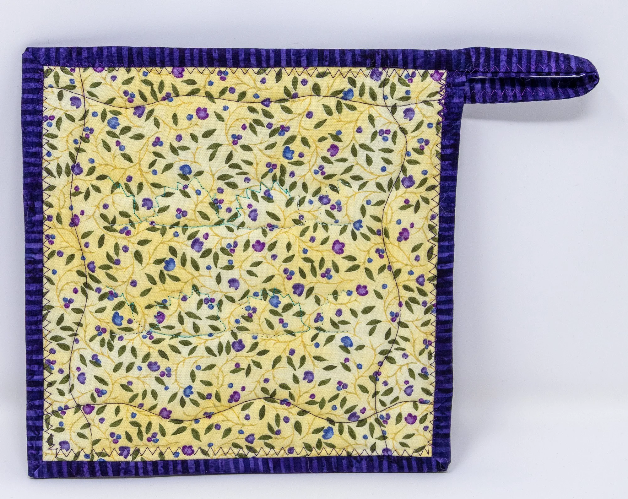 Blue teal hedgehogs 4 back 2000px.jpg