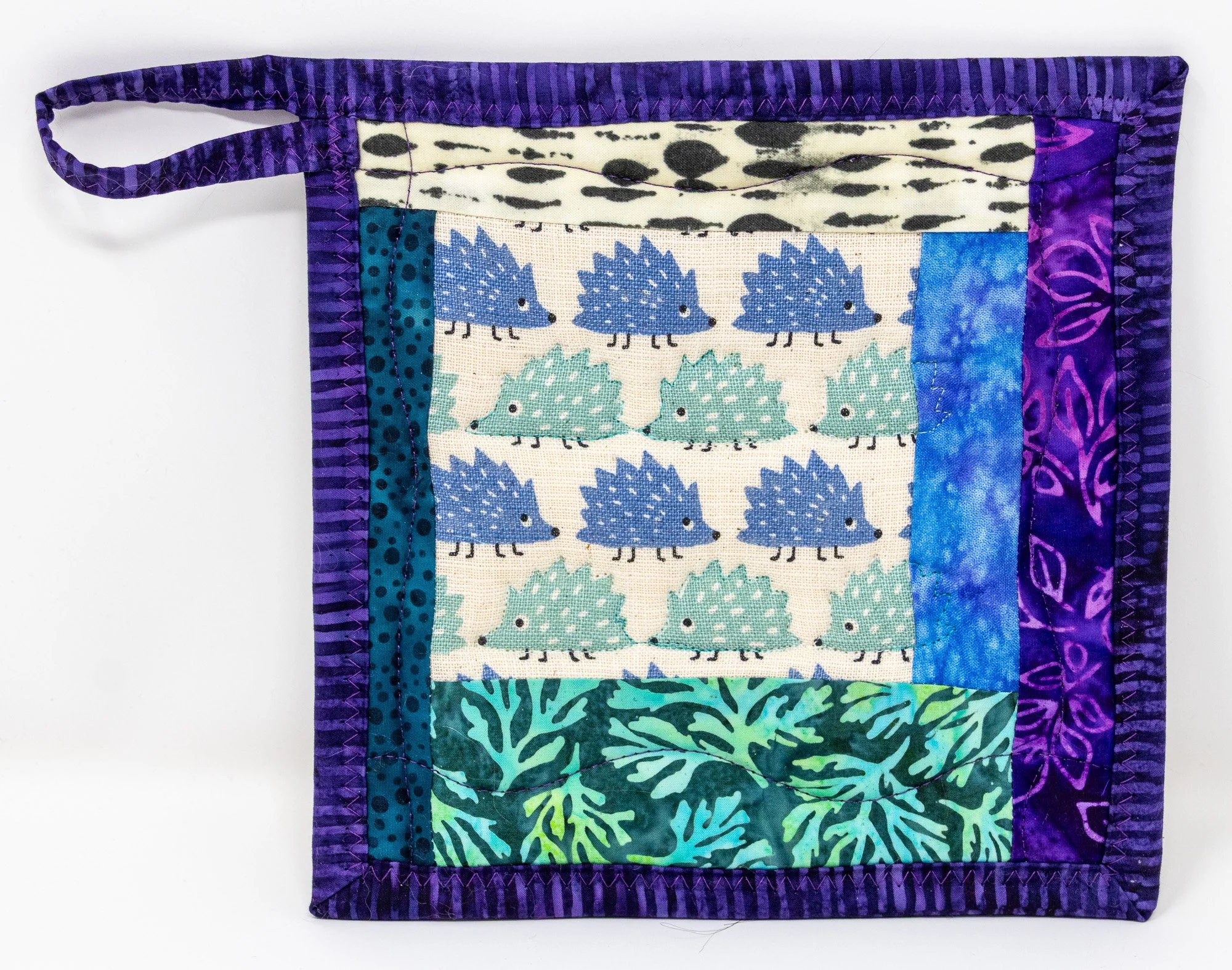 Blue teal hedgehogs 5 front 2000px.jpg