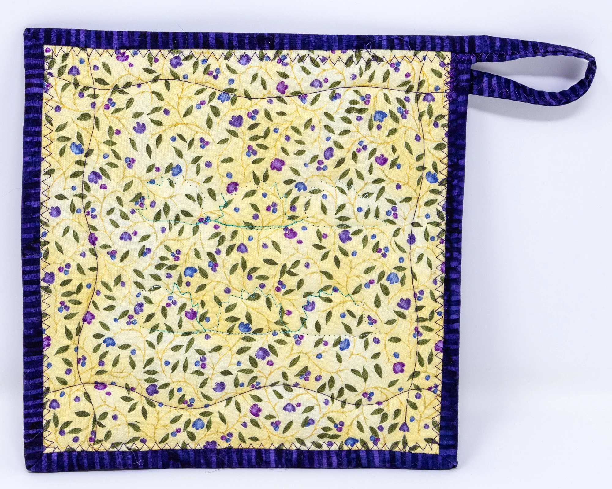 Blue teal hedgehogs 5 back 2000px.jpg